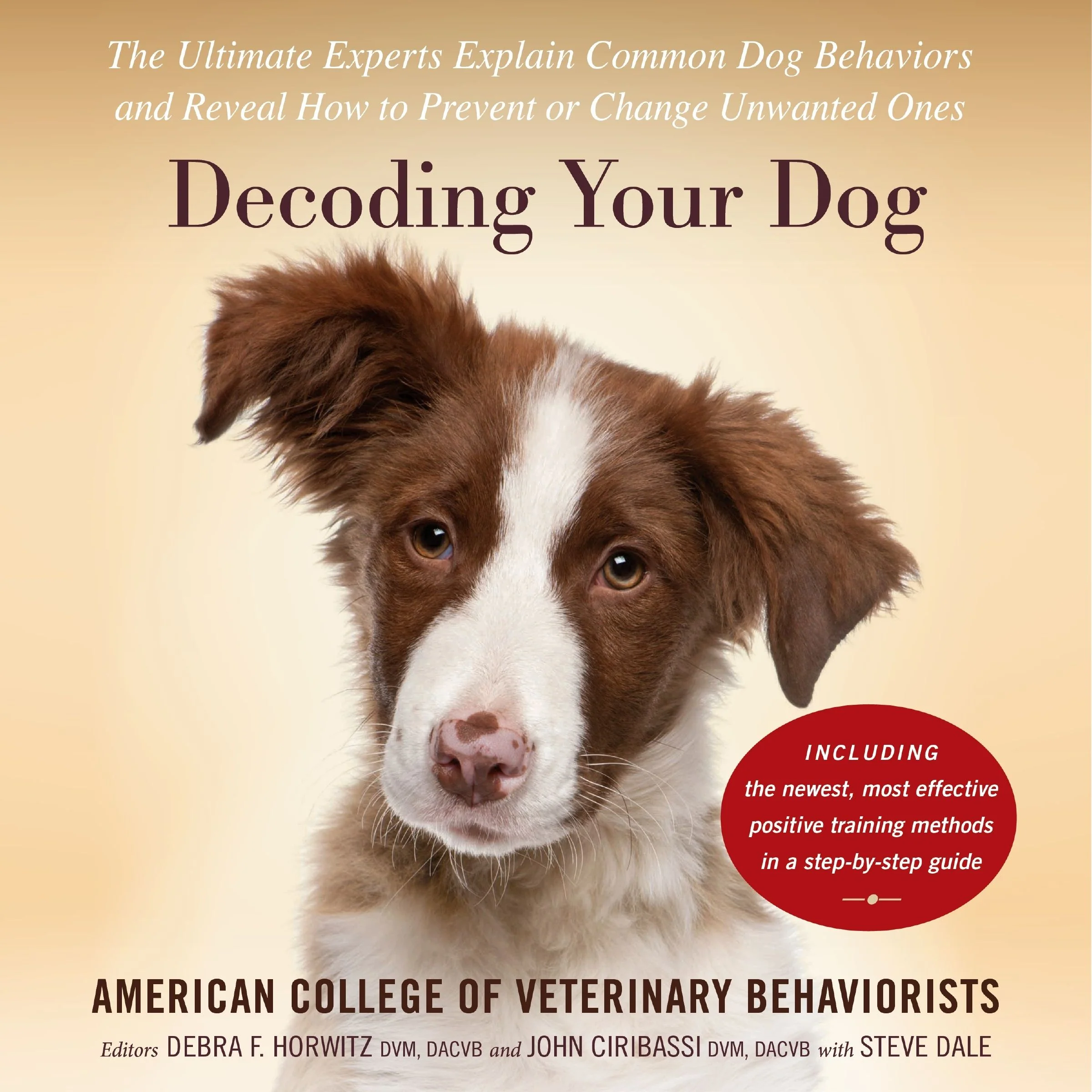 Decoding Your Dog - Image 2