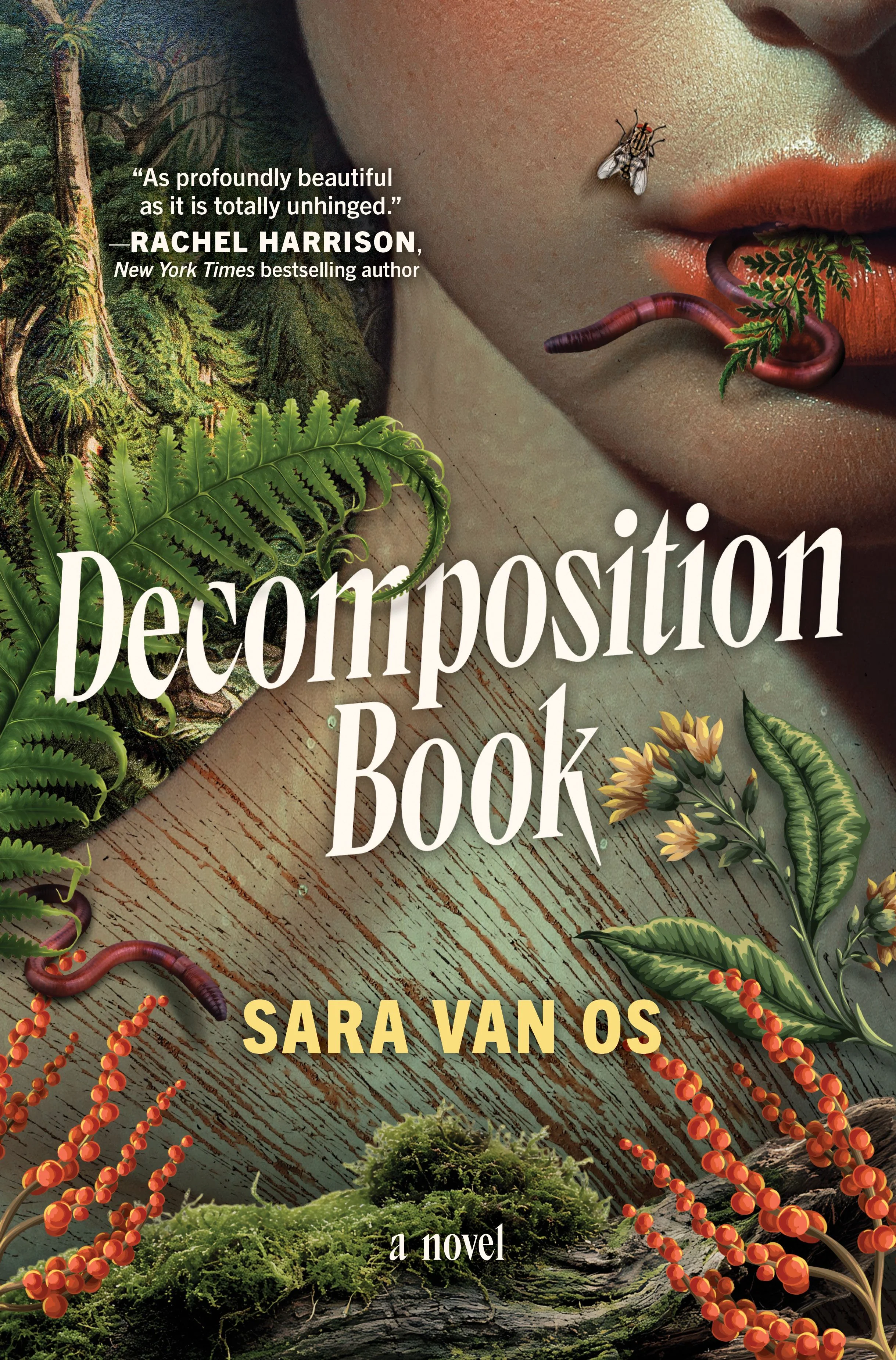 Decomposition Book - Image 2