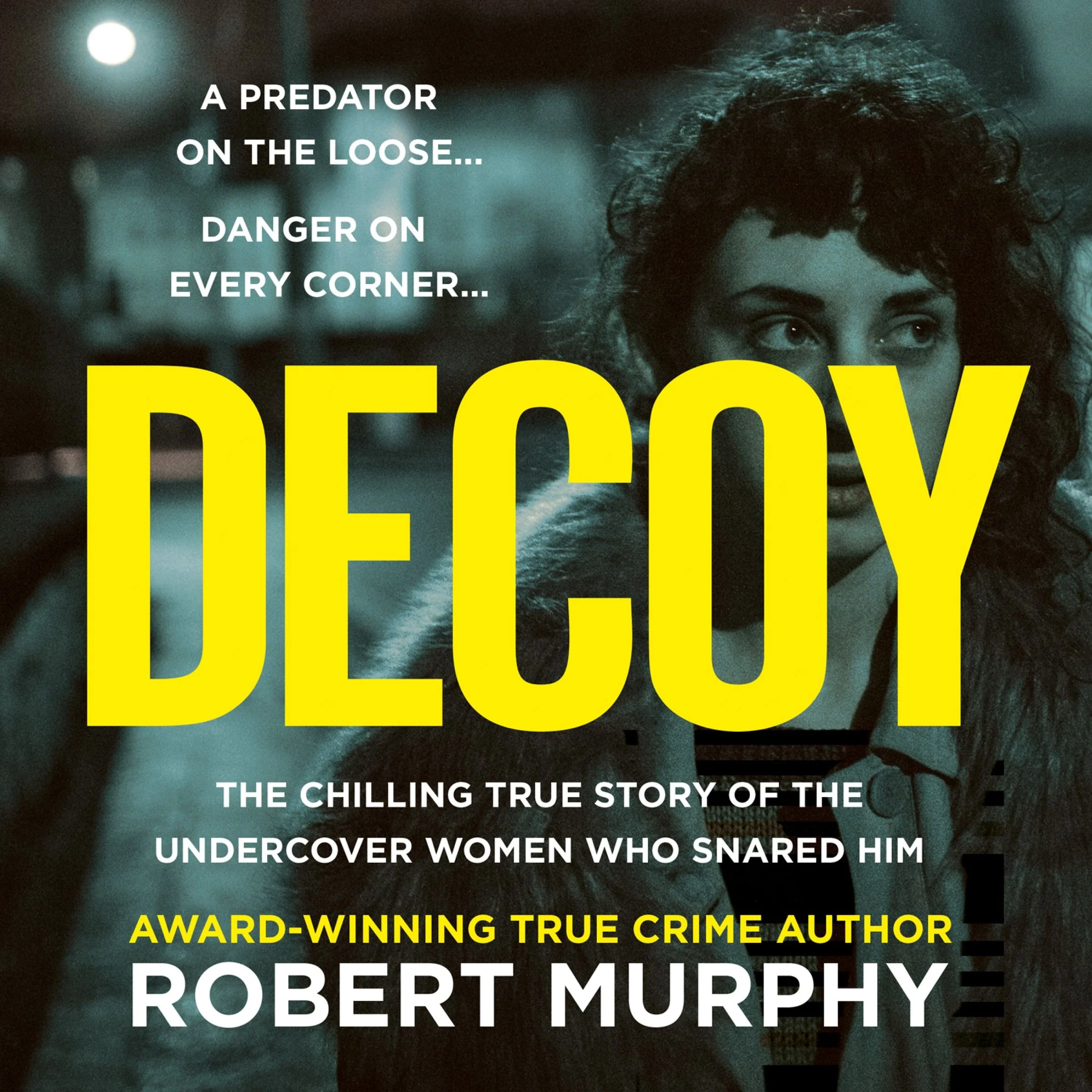 Decoy - Image 4