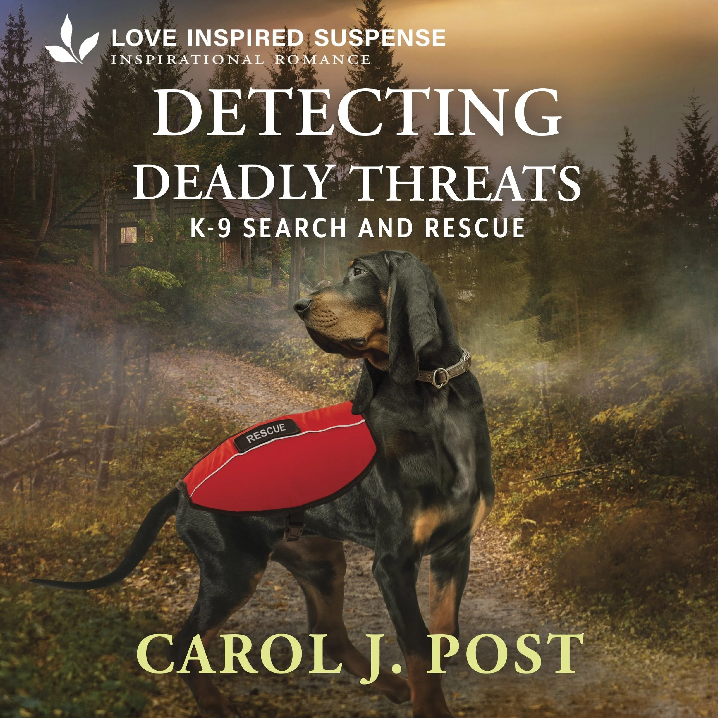 Detecting Deadly Threats - Image 2