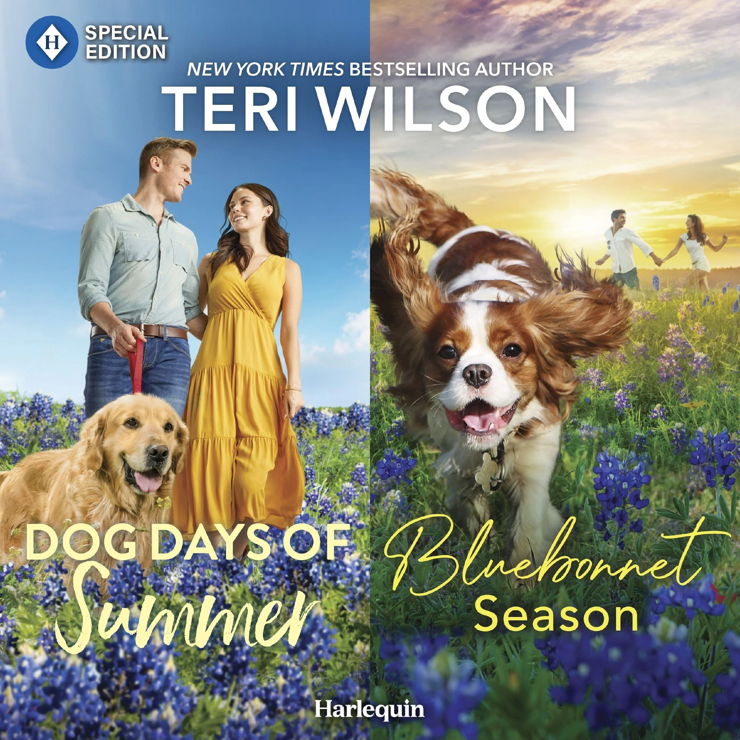 Dog Days of Summer & Bluebonnet Season - Image 2