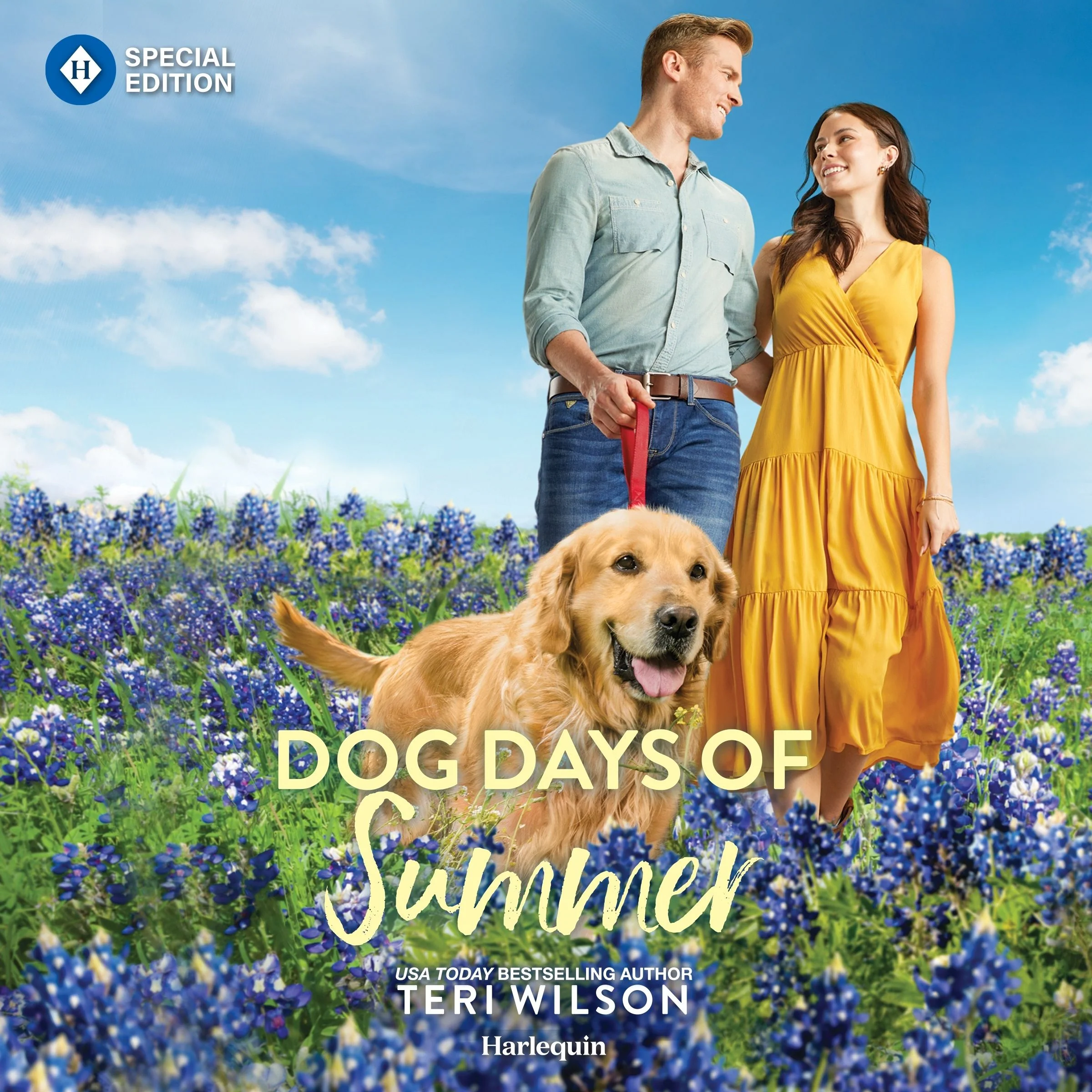 Dog Days of Summer - Image 2