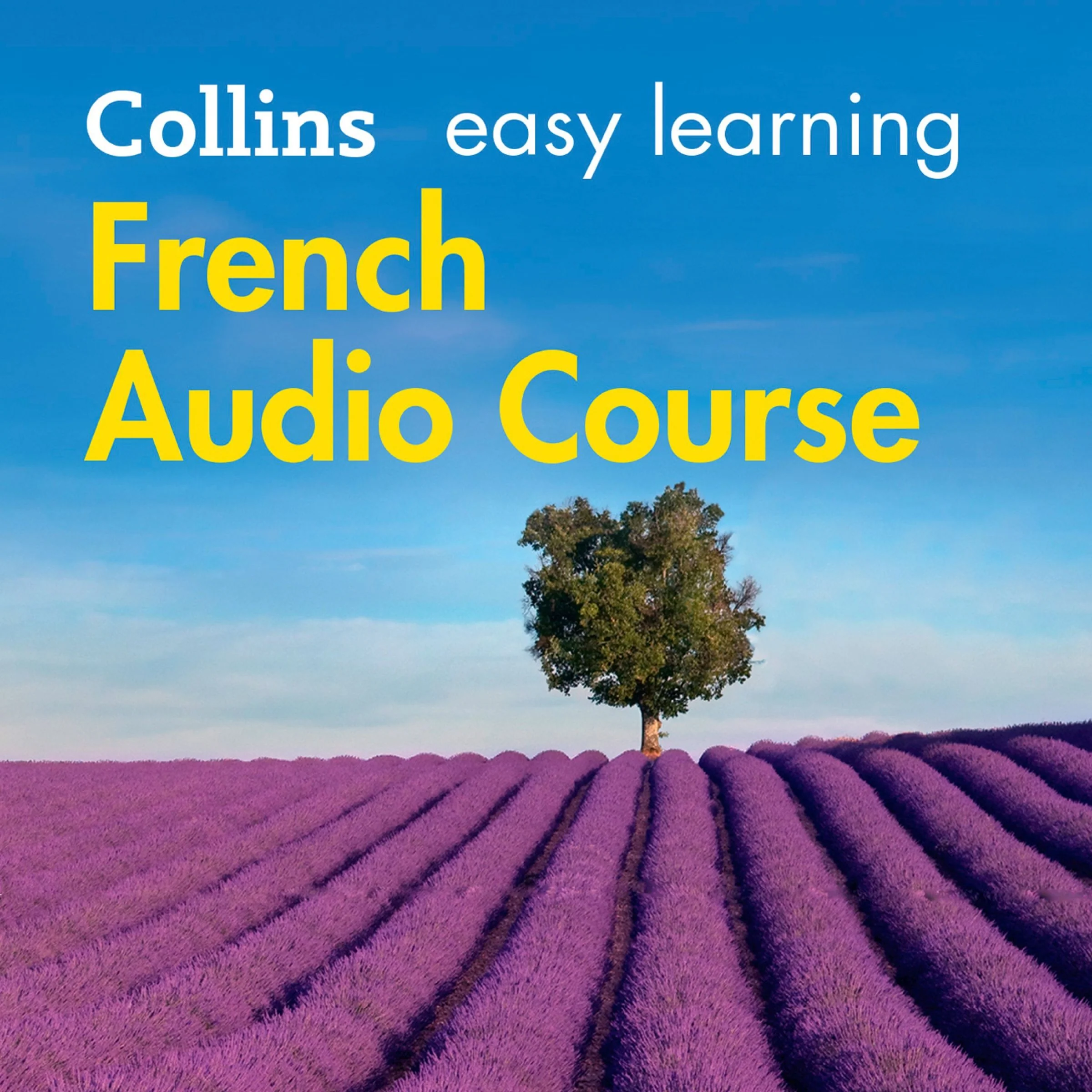 Easy French Course for Beginners: Learn the basics for everyday conversation (Collins Easy Learning Audio Course) - Image 2