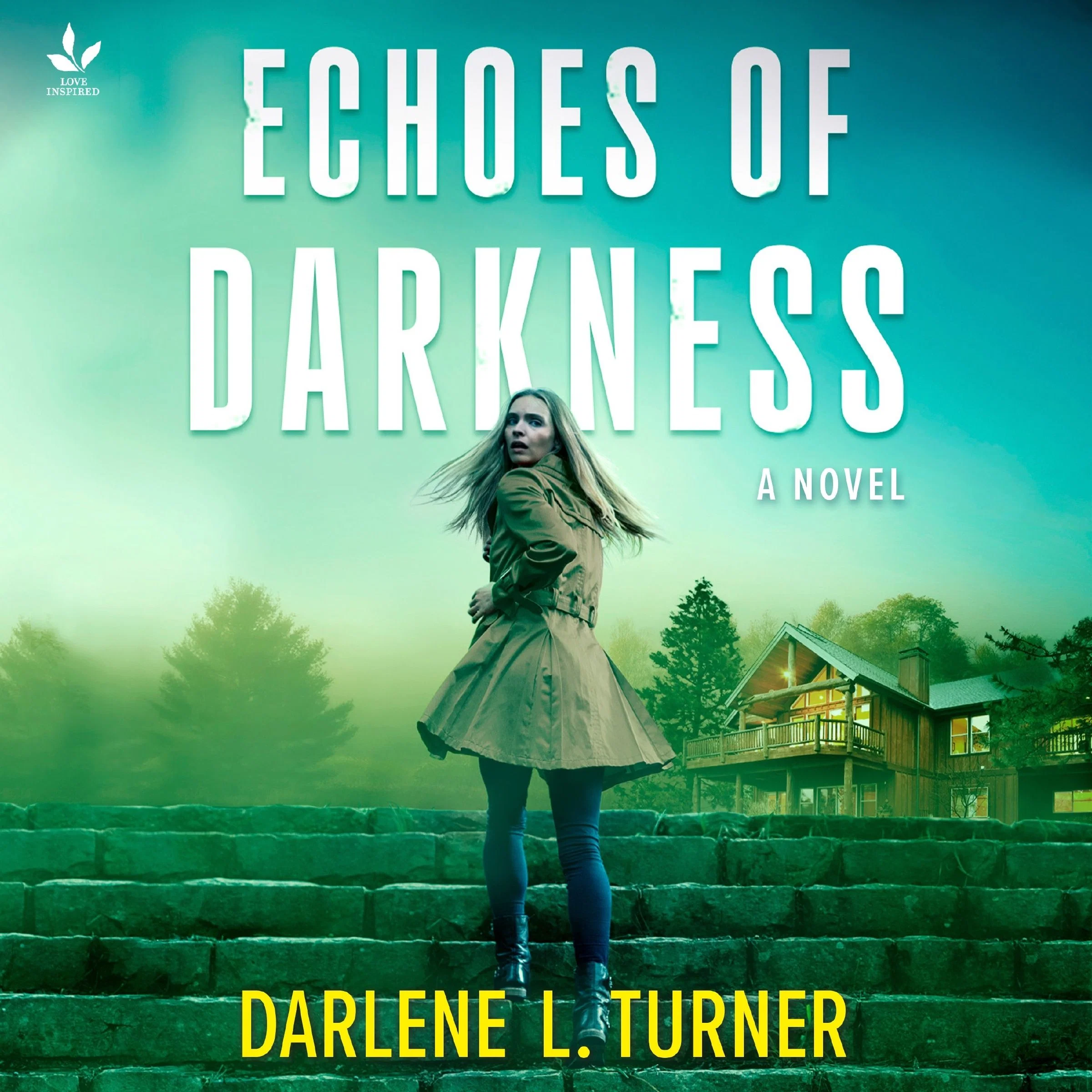 Echoes of Darkness - Image 2