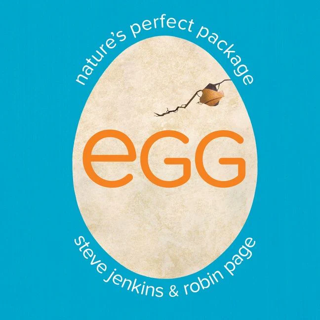 Egg: Nature's Perfect Package - Image 4