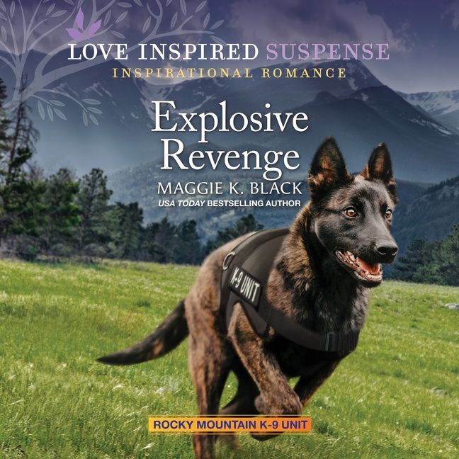 Explosive Revenge - Image 2