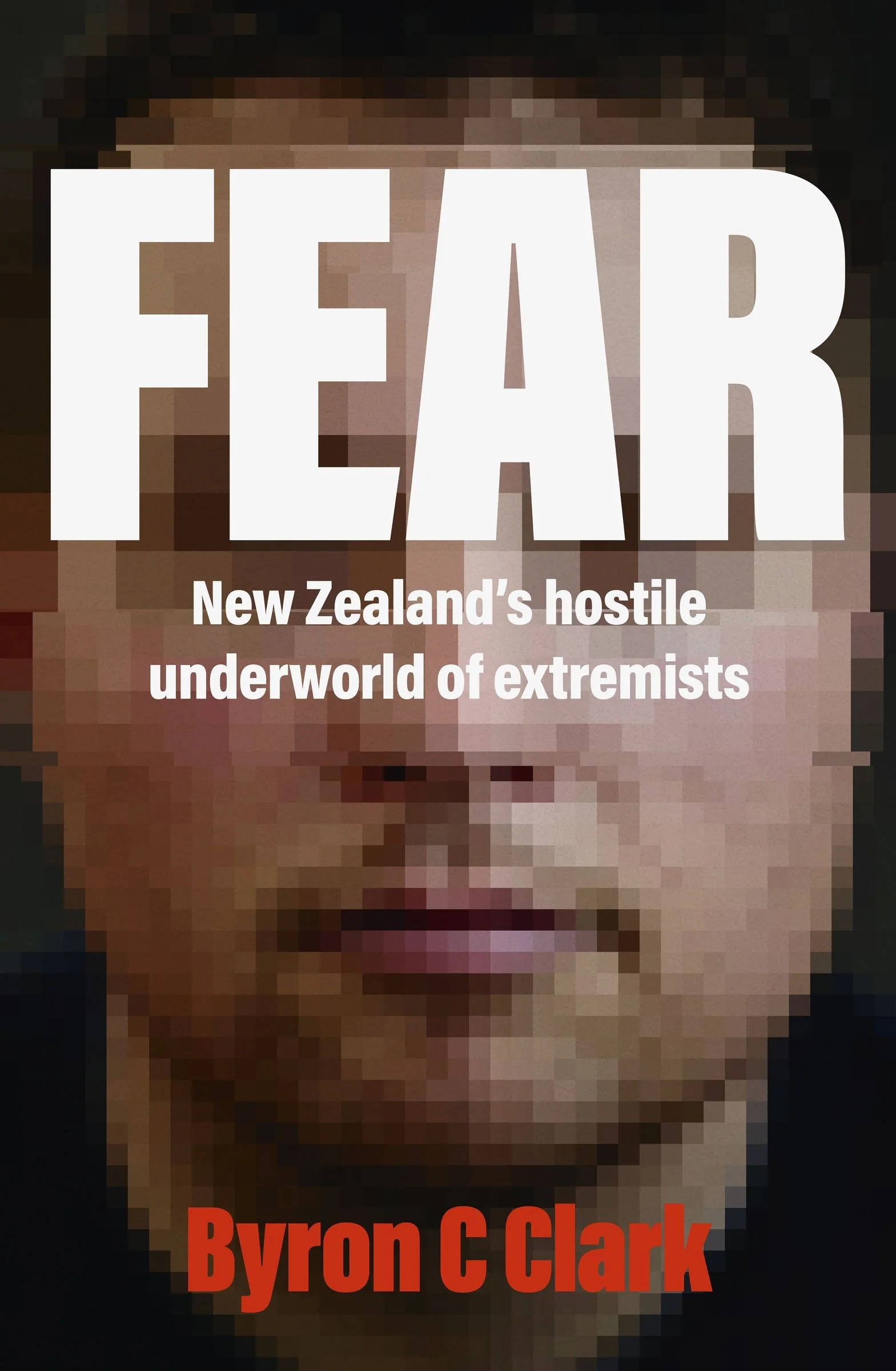 Fear: The must-read gripping new book about New Zealand's hostile underworld of extremists - Image 2