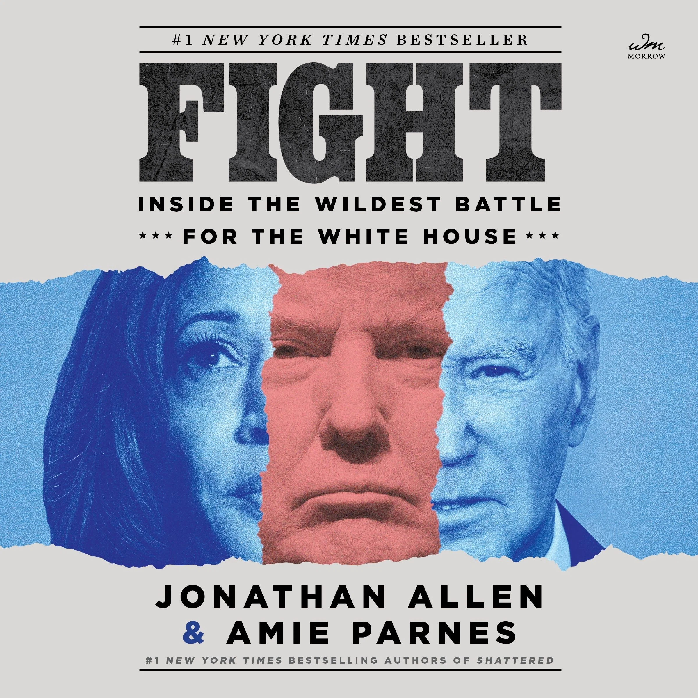Fight - Image 3