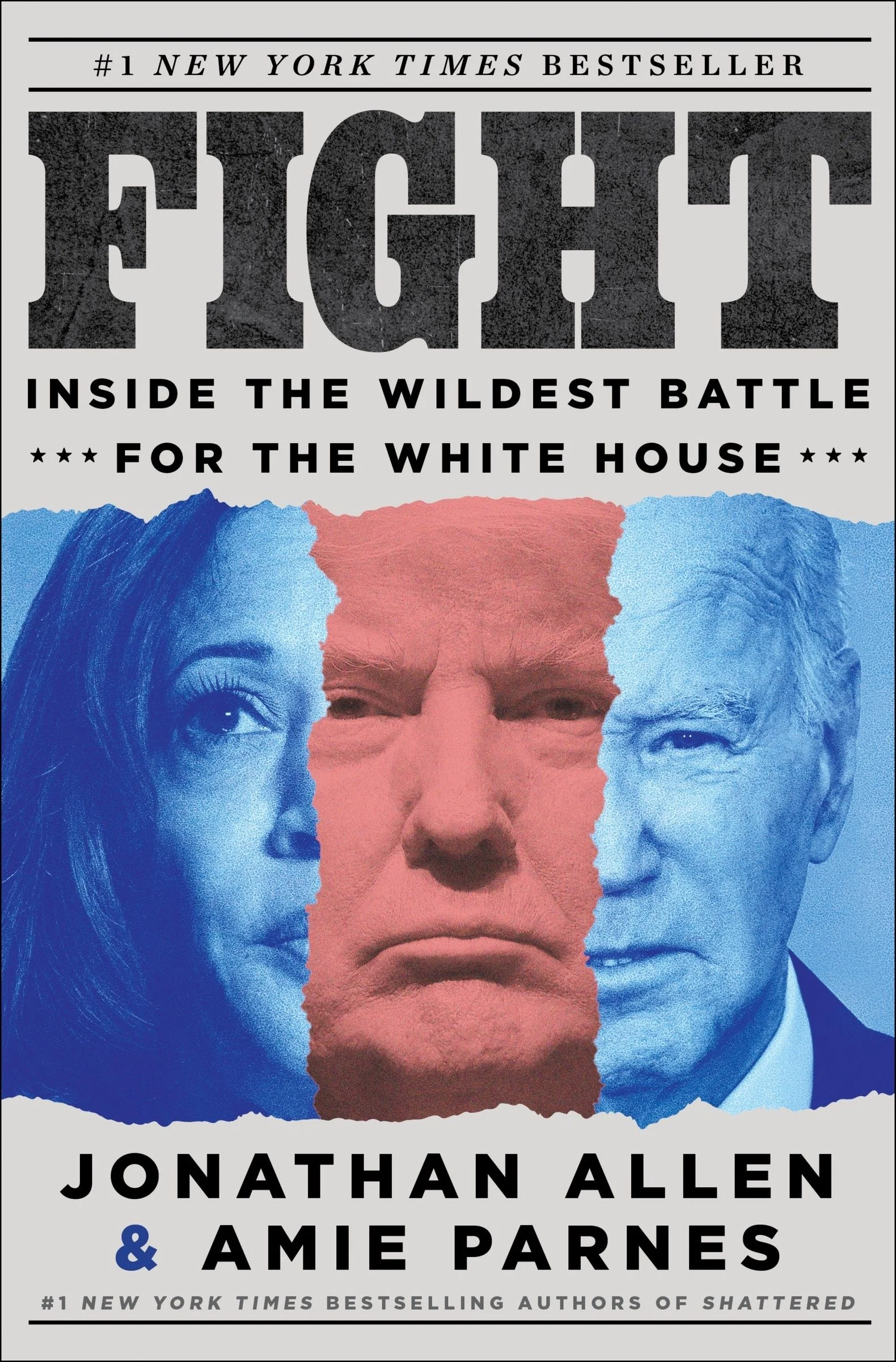 Fight - Image 4