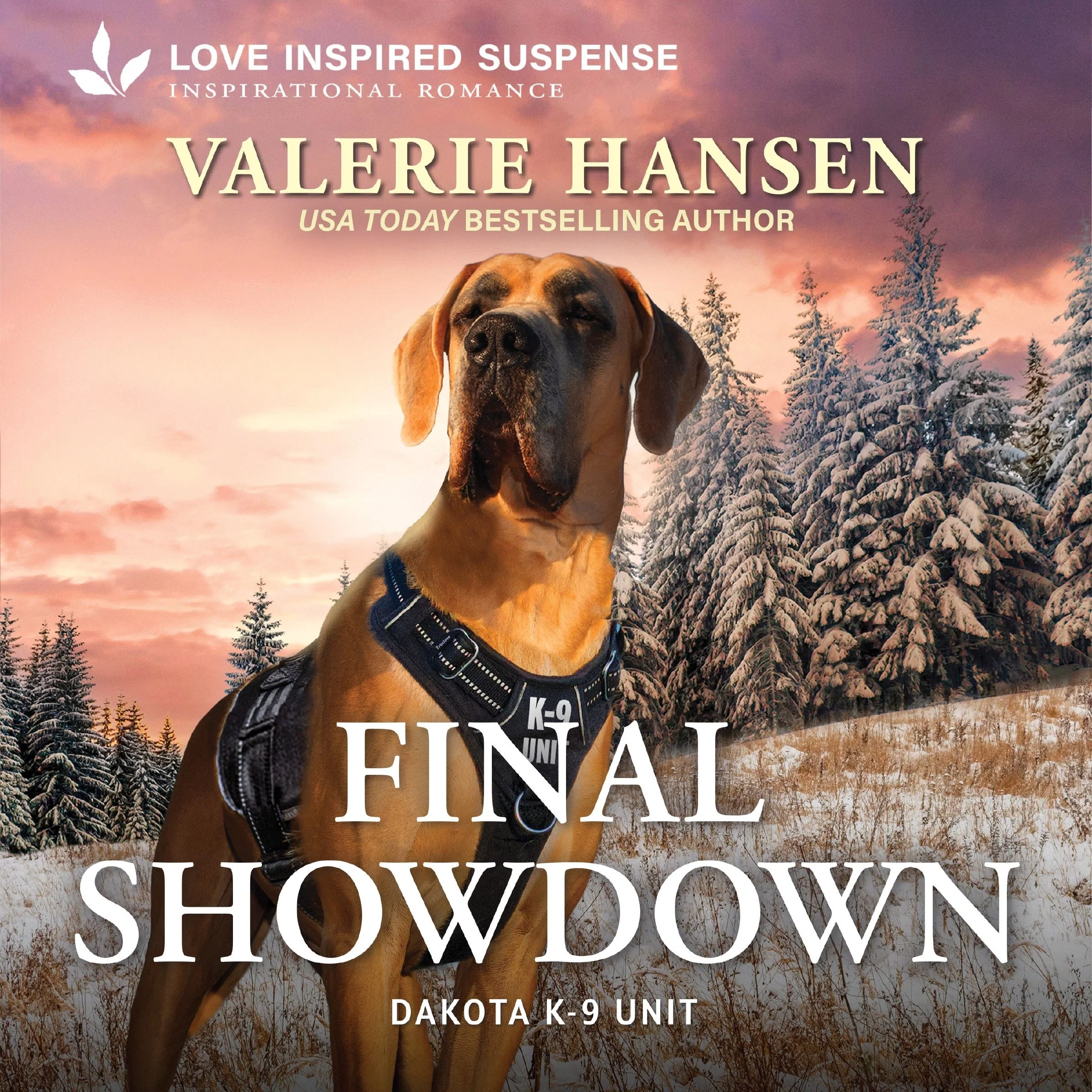 Final Showdown - Image 2