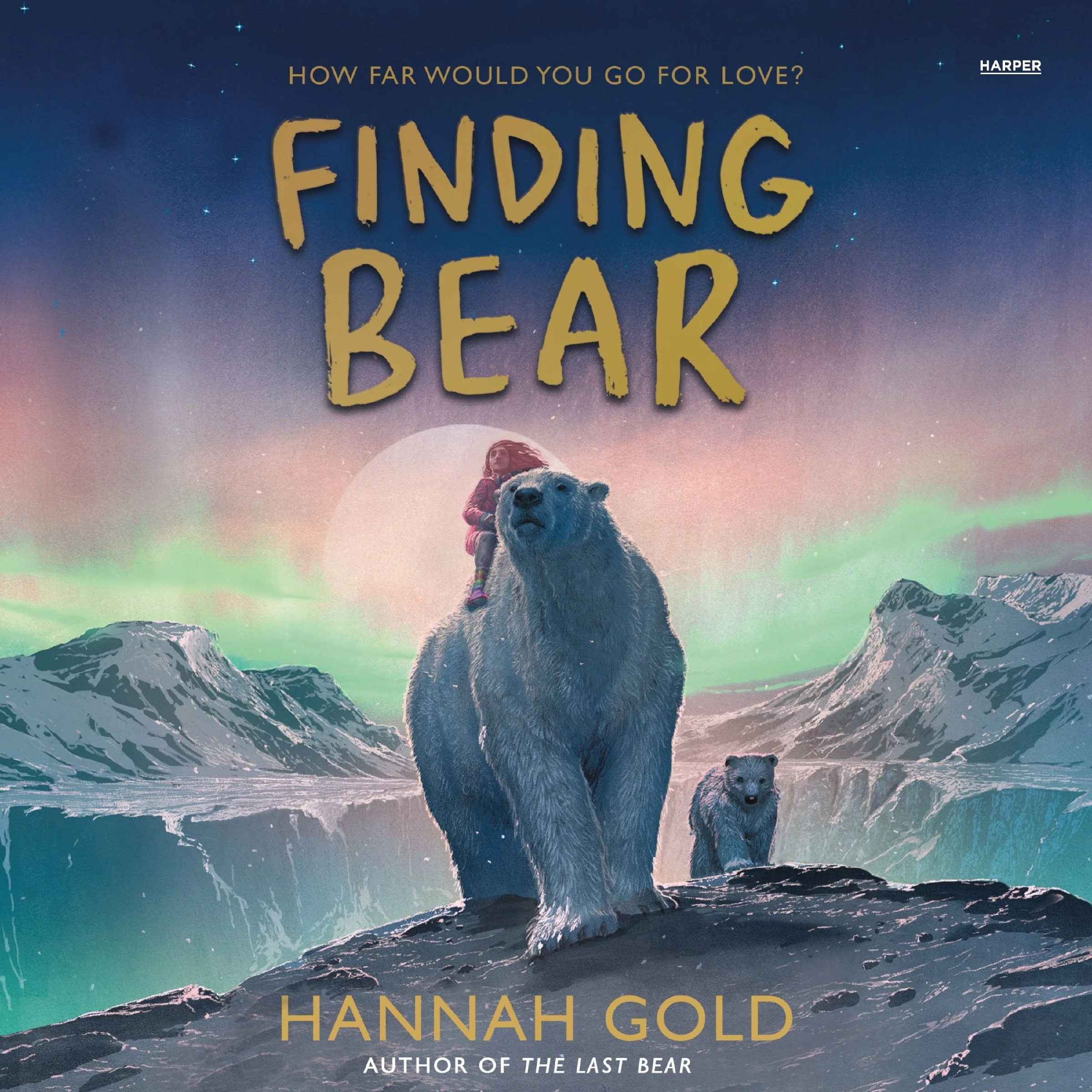 Finding Bear - Image 4
