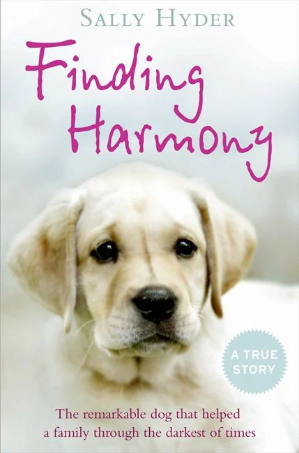 Finding Harmony - Image 2