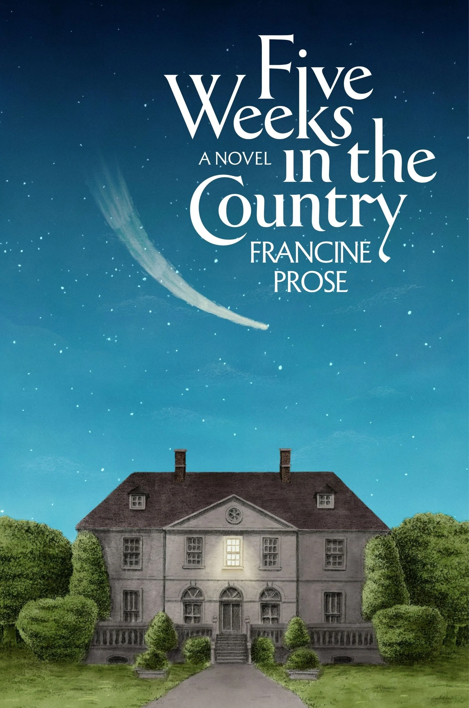 Five Weeks in the Country - Image 2