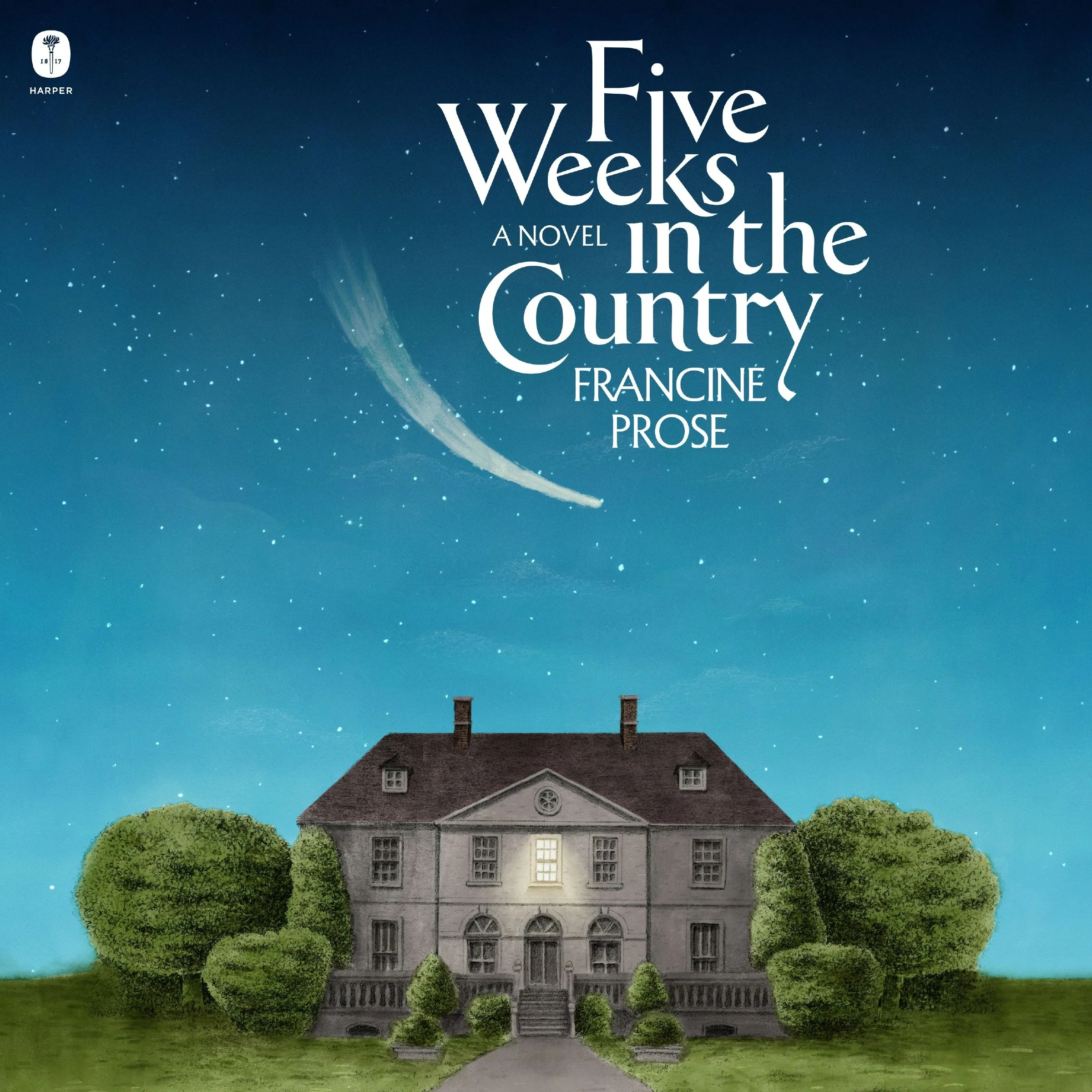 Five Weeks in the Country - Image 4