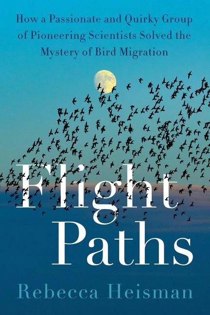 Flight Paths - Image 3