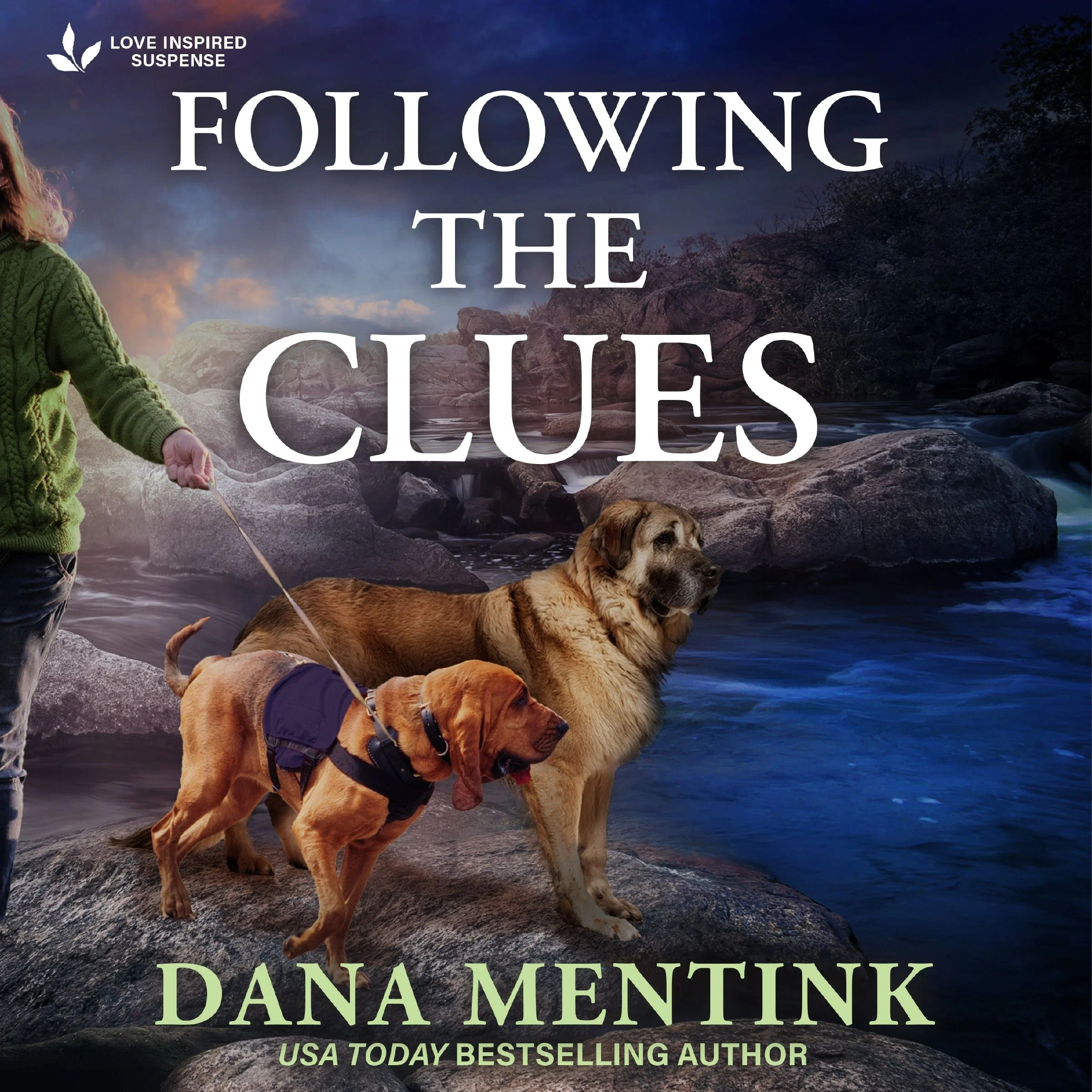Following the Clues - Image 2