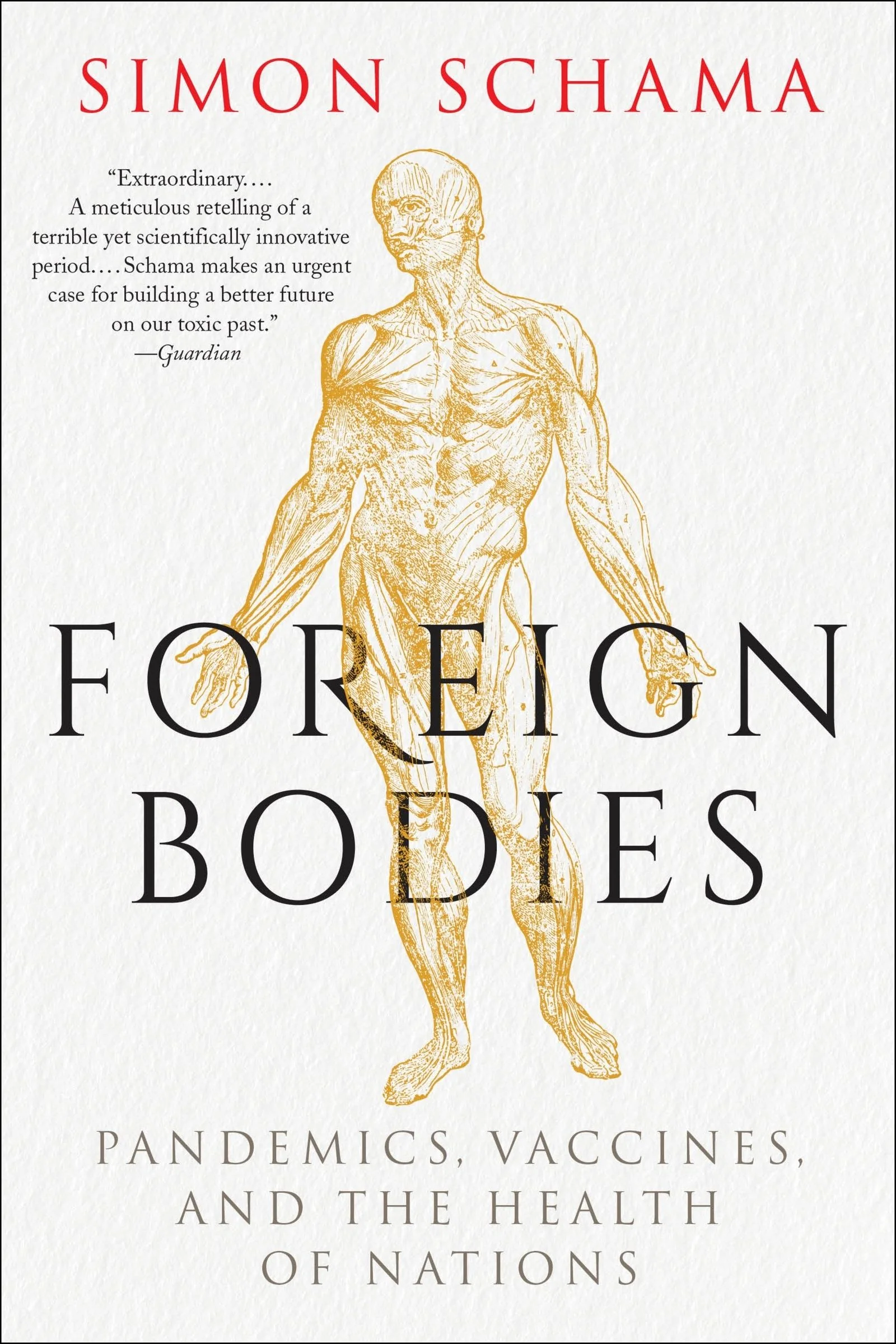 Foreign Bodies - Image 3