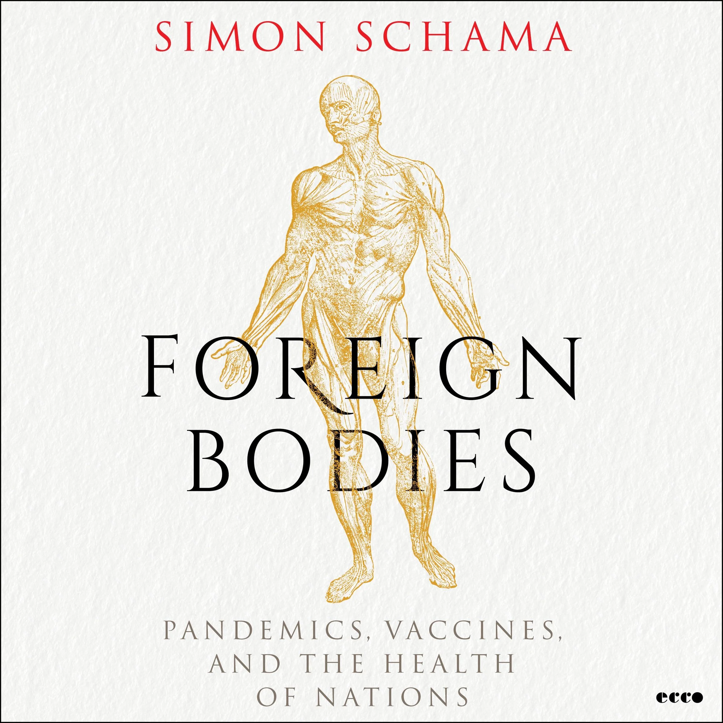 Foreign Bodies - Image 5
