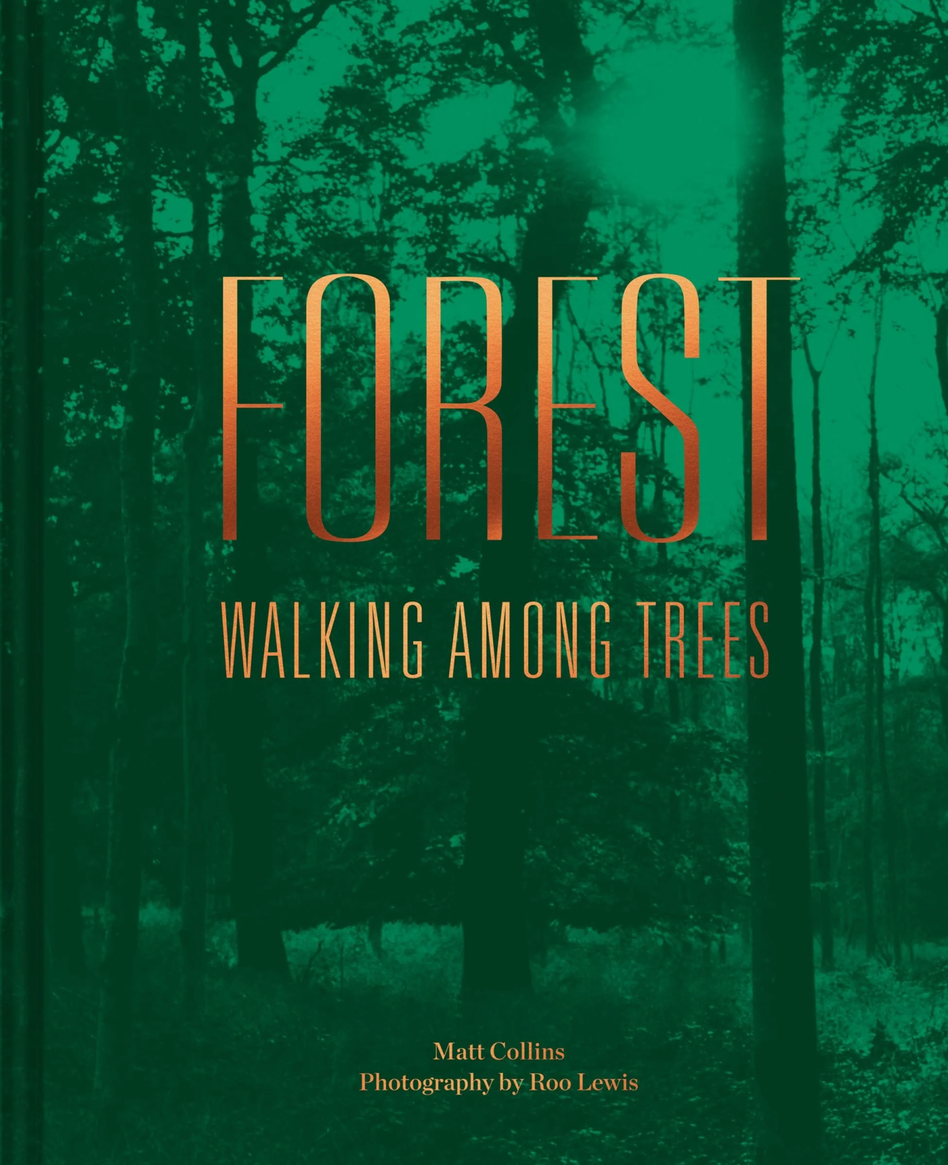 Forest: Walking among trees - Image 2