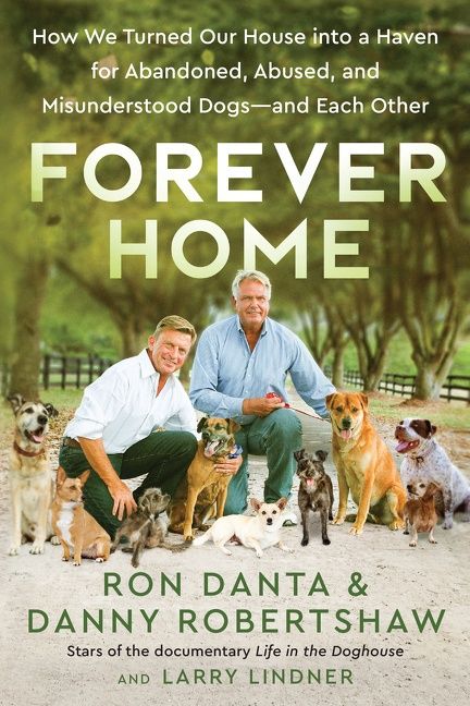 Forever Home - Image 2