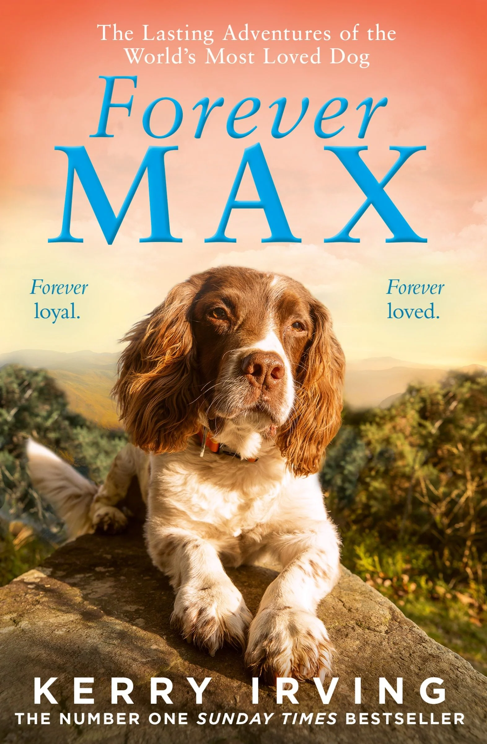 Forever Max: The lasting adventures of the world's most loved dog - Image 2