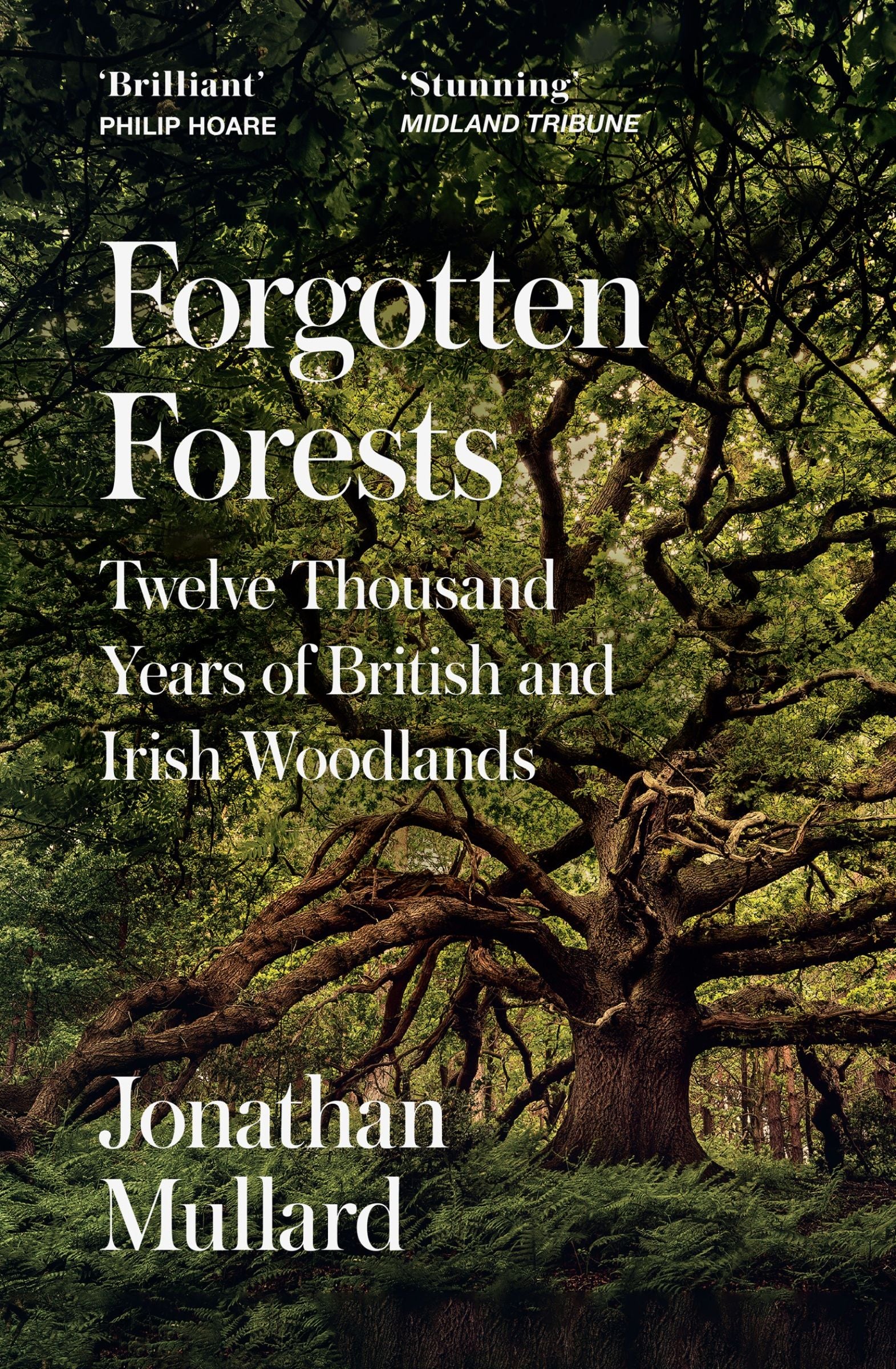 Forgotten Forests: Twelve Thousand Years of British and Irish Woodlands - Image 4