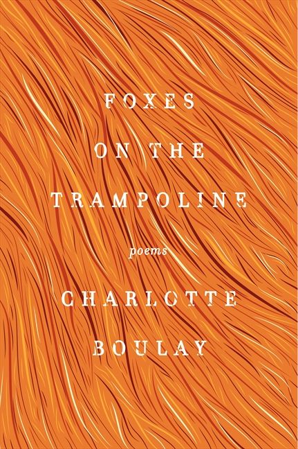 Foxes on the Trampoline - Image 2
