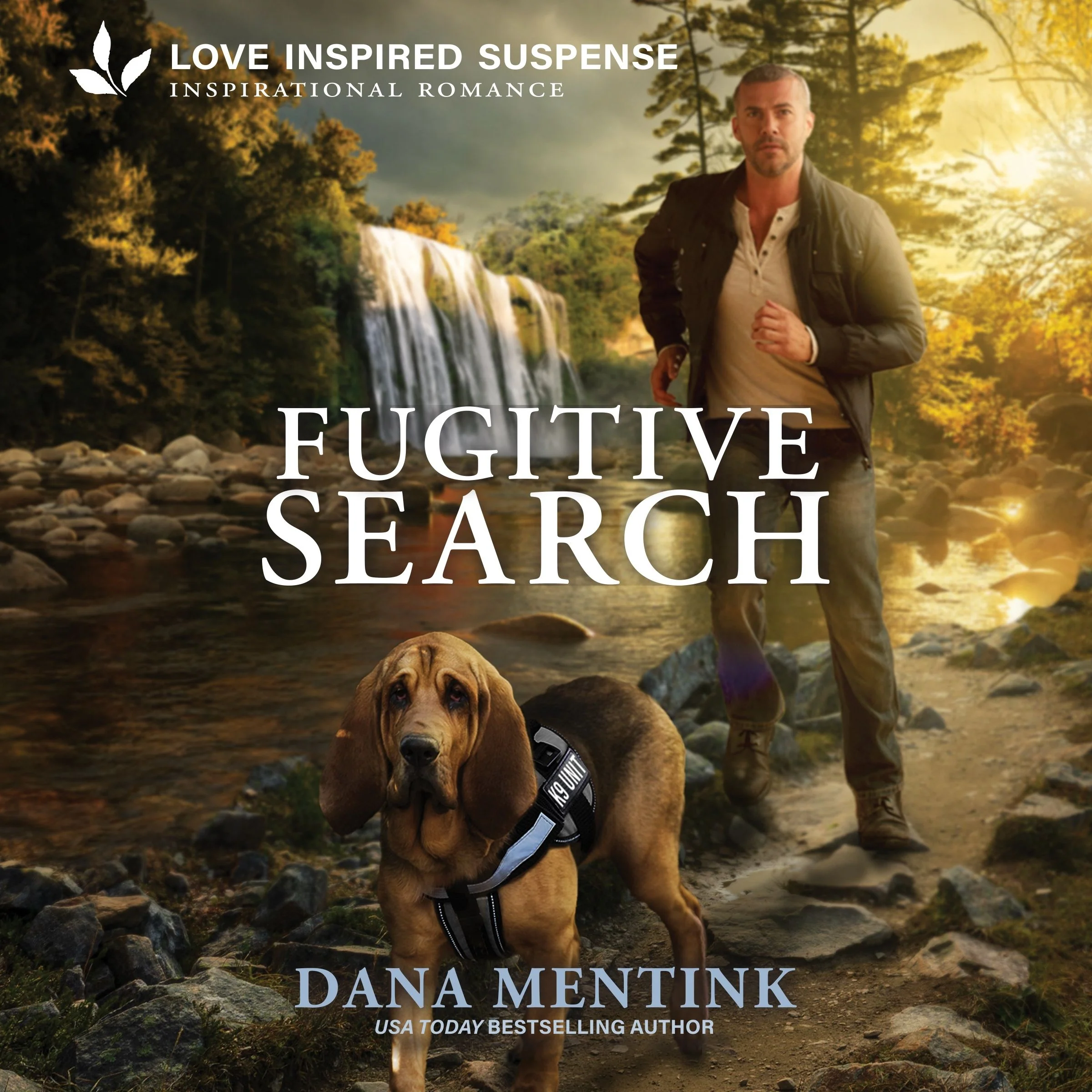 Fugitive Search - Image 2