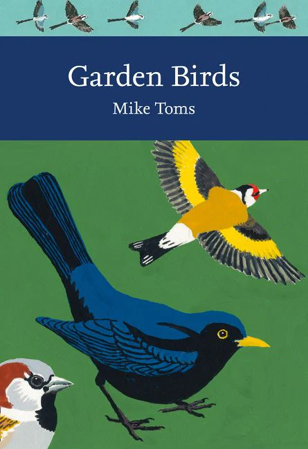 Garden Birds - Image 2