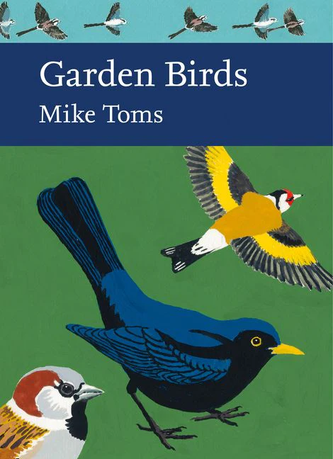 Garden Birds - Image 3