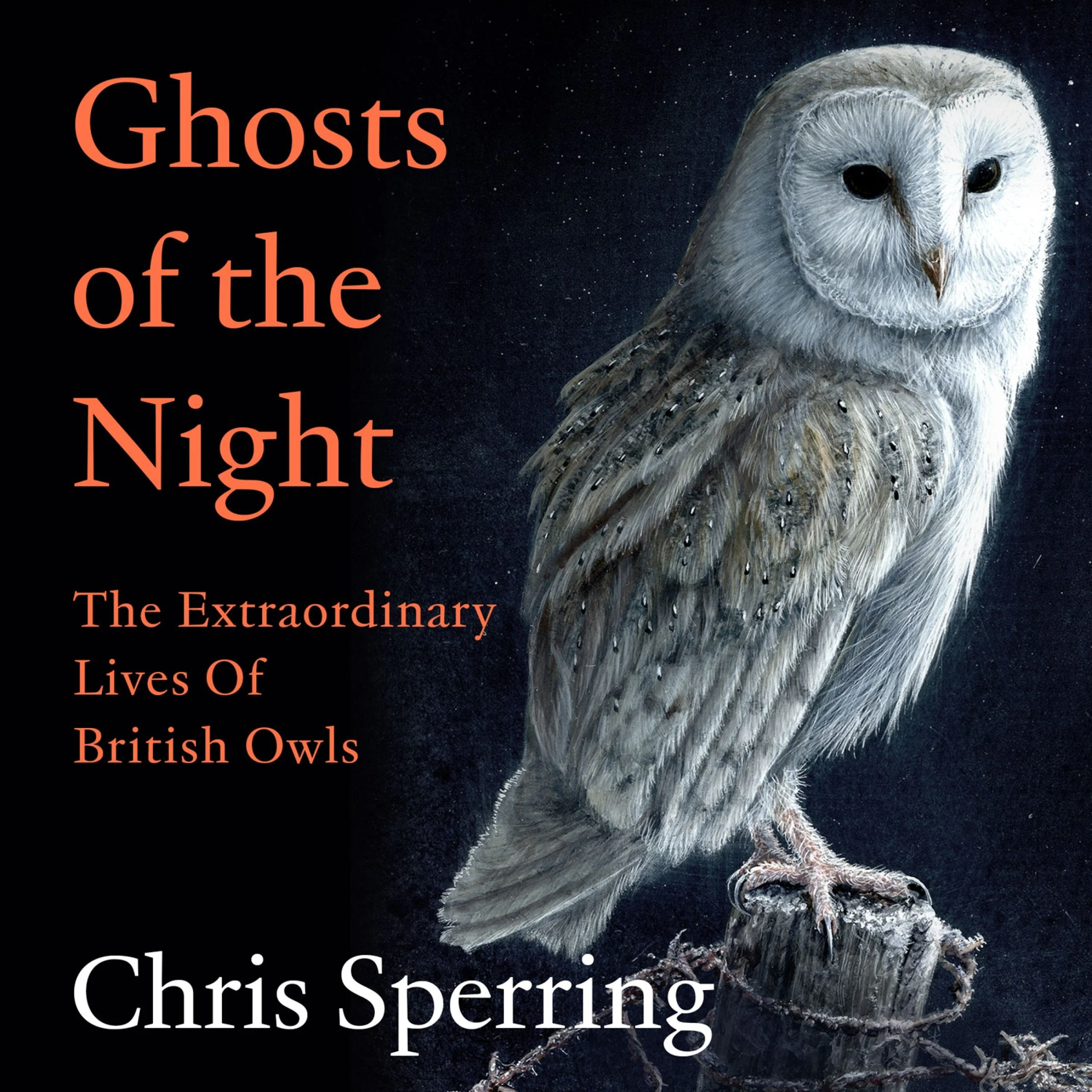 Ghosts of the Night: The Extraordinary Lives of British Owls - Image 4