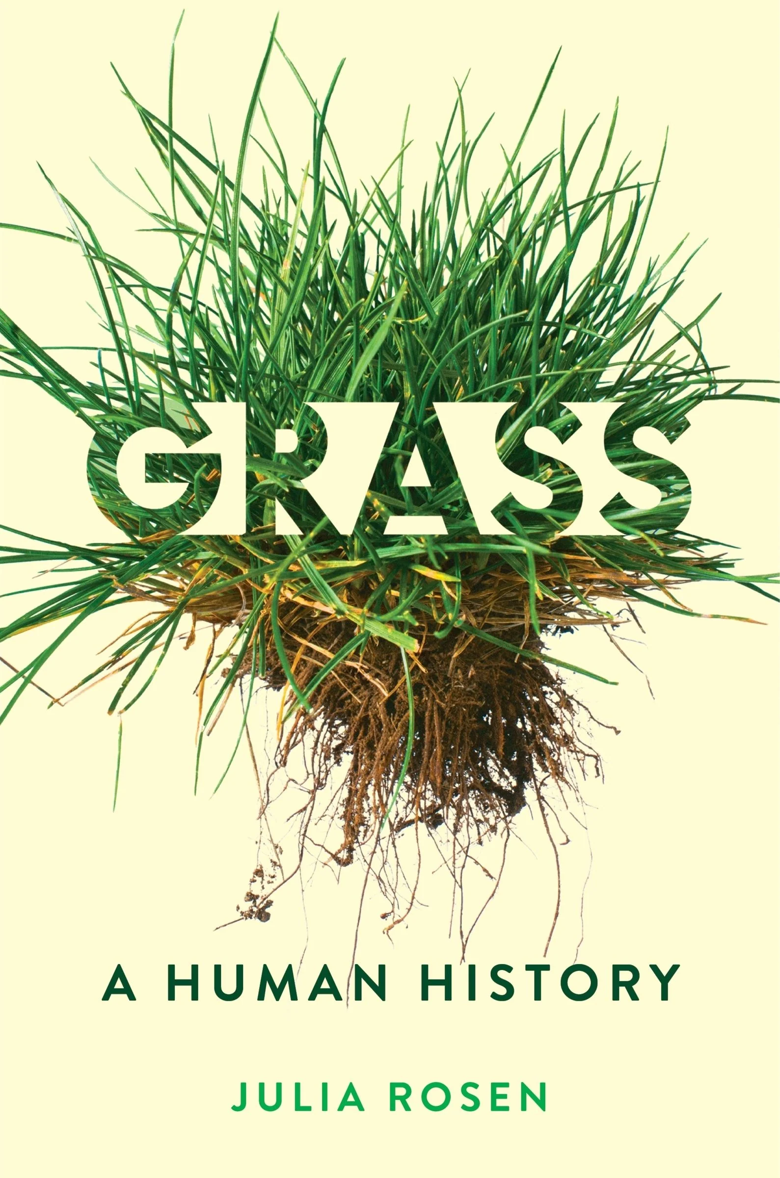 Grass - Image 3