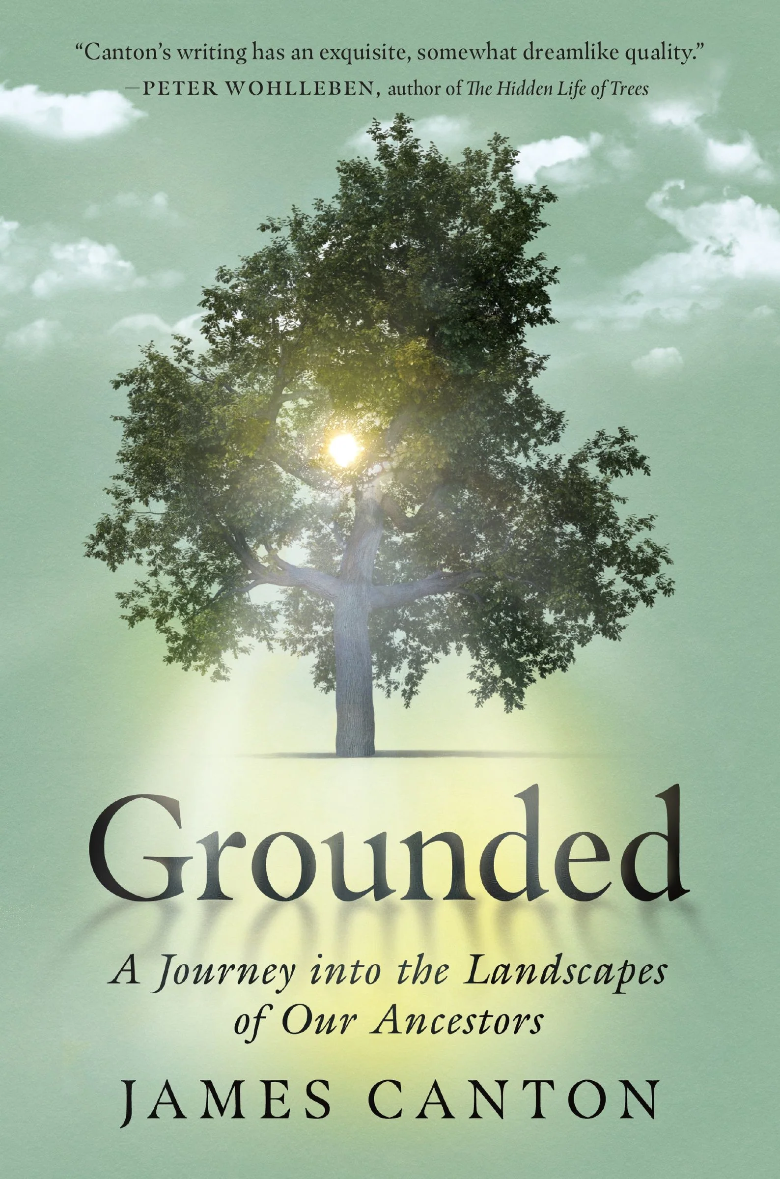 Grounded - Image 2