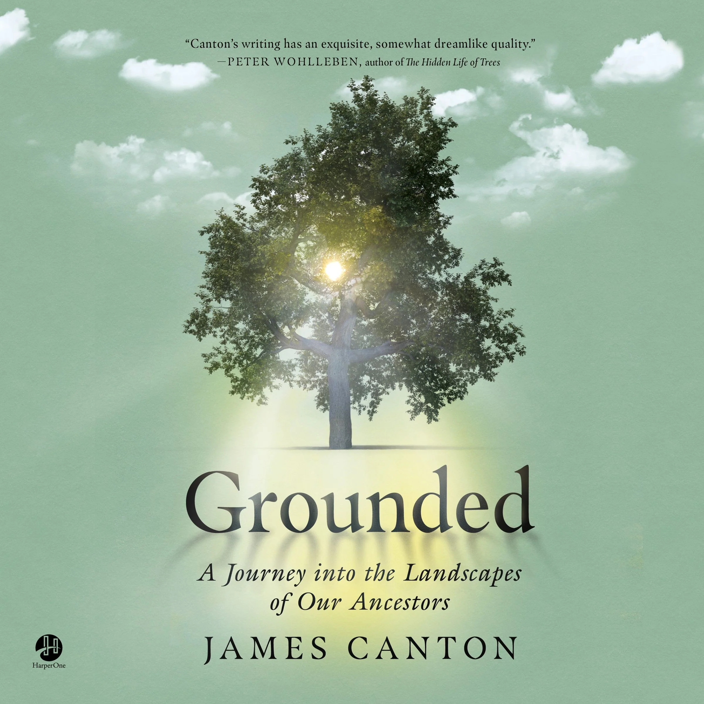 Grounded - Image 4