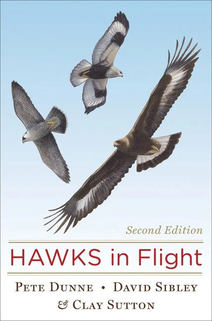 Hawks In Flight - Image 2