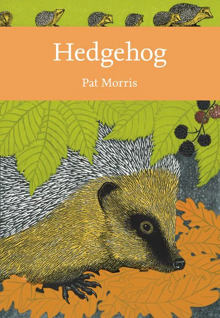 Hedgehog - Image 2