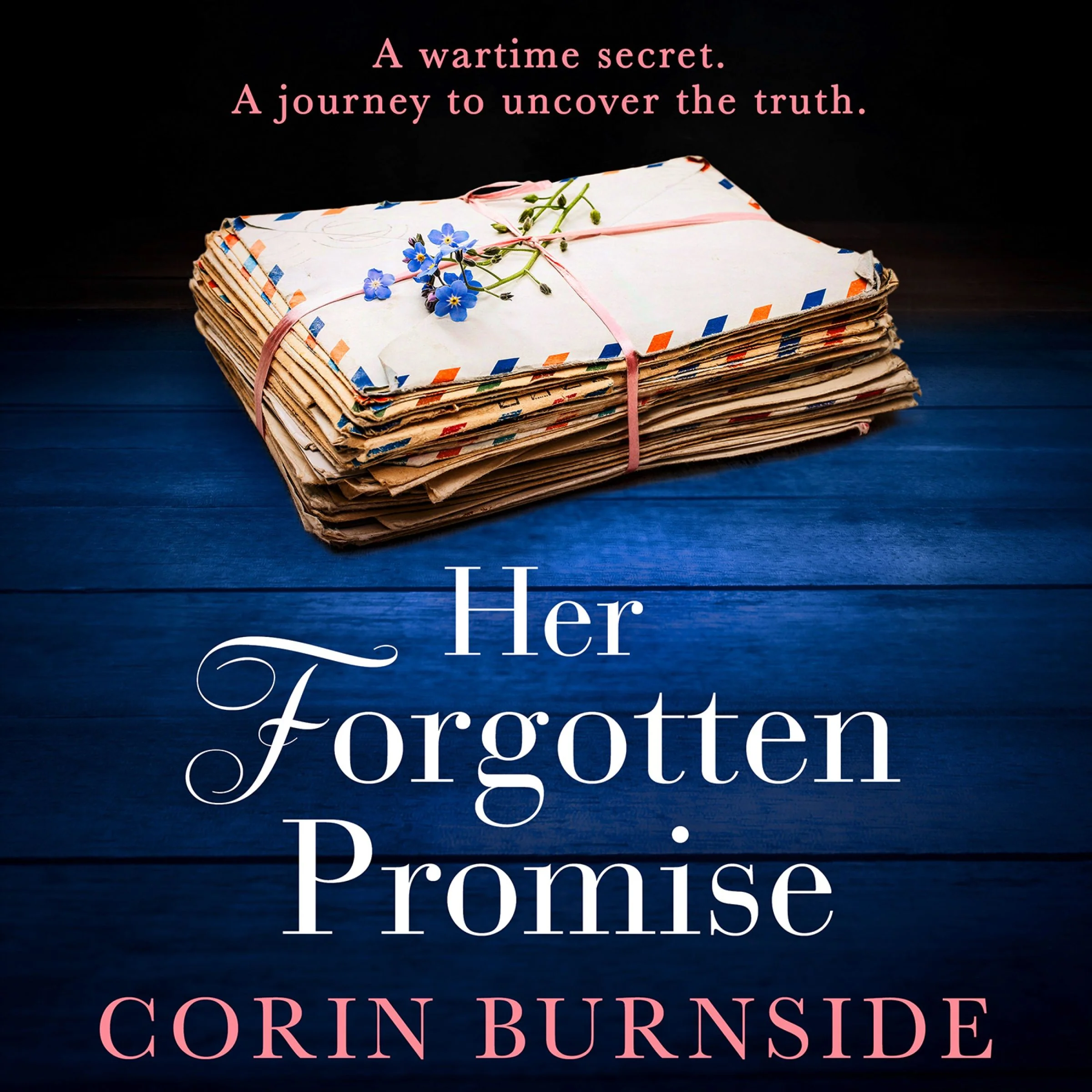 Her Forgotten Promise - Image 3