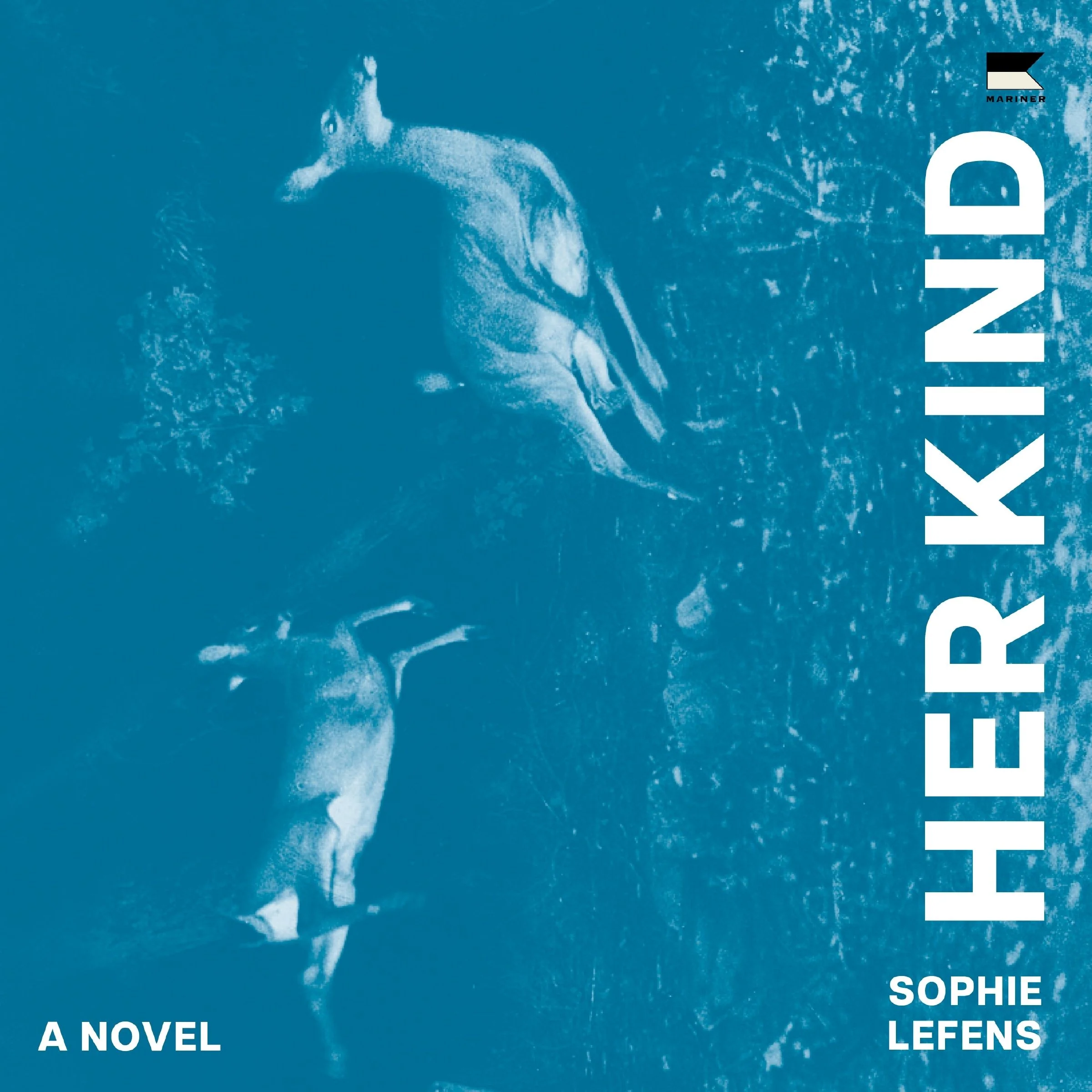 Her Kind - Image 4