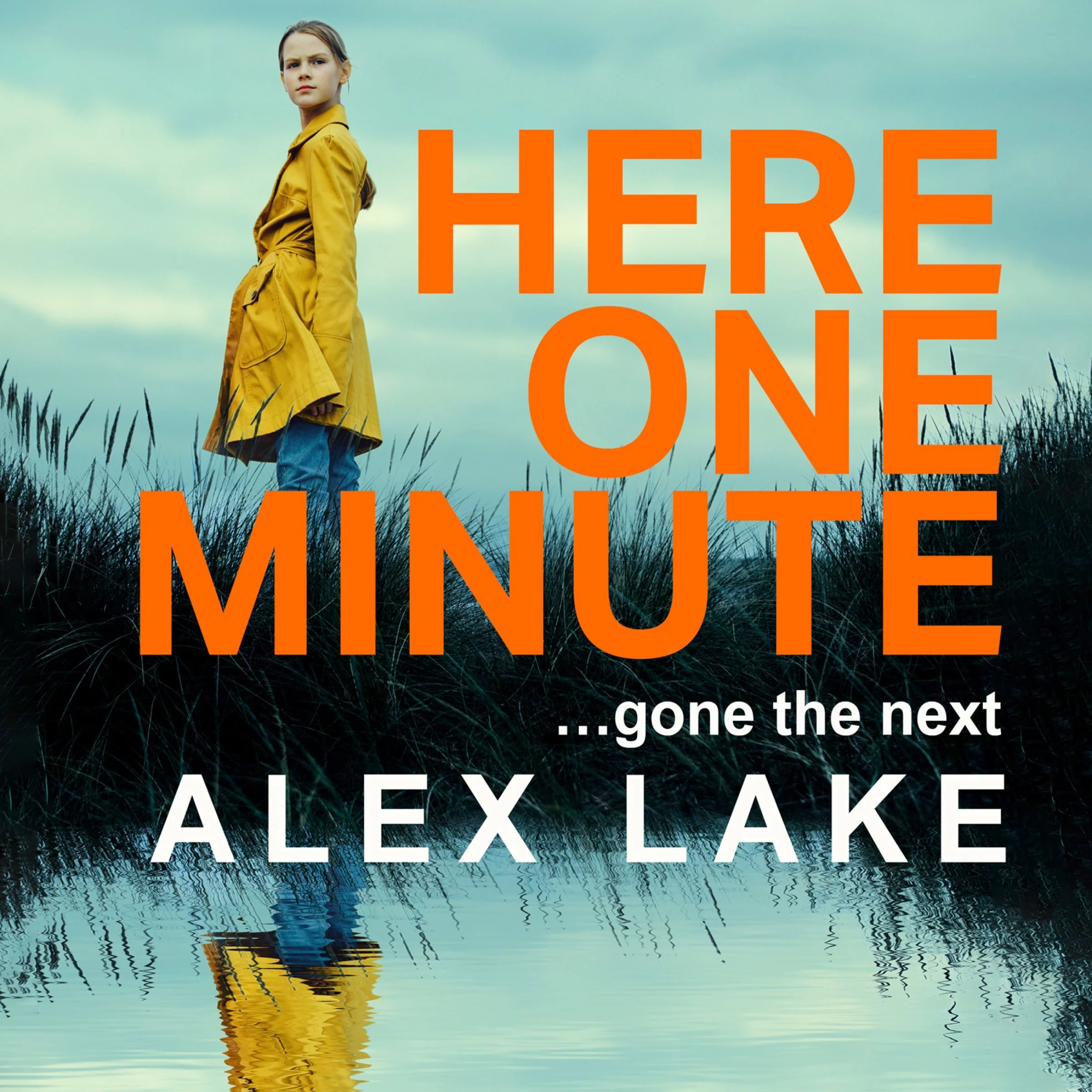 Here One Minute - Image 4