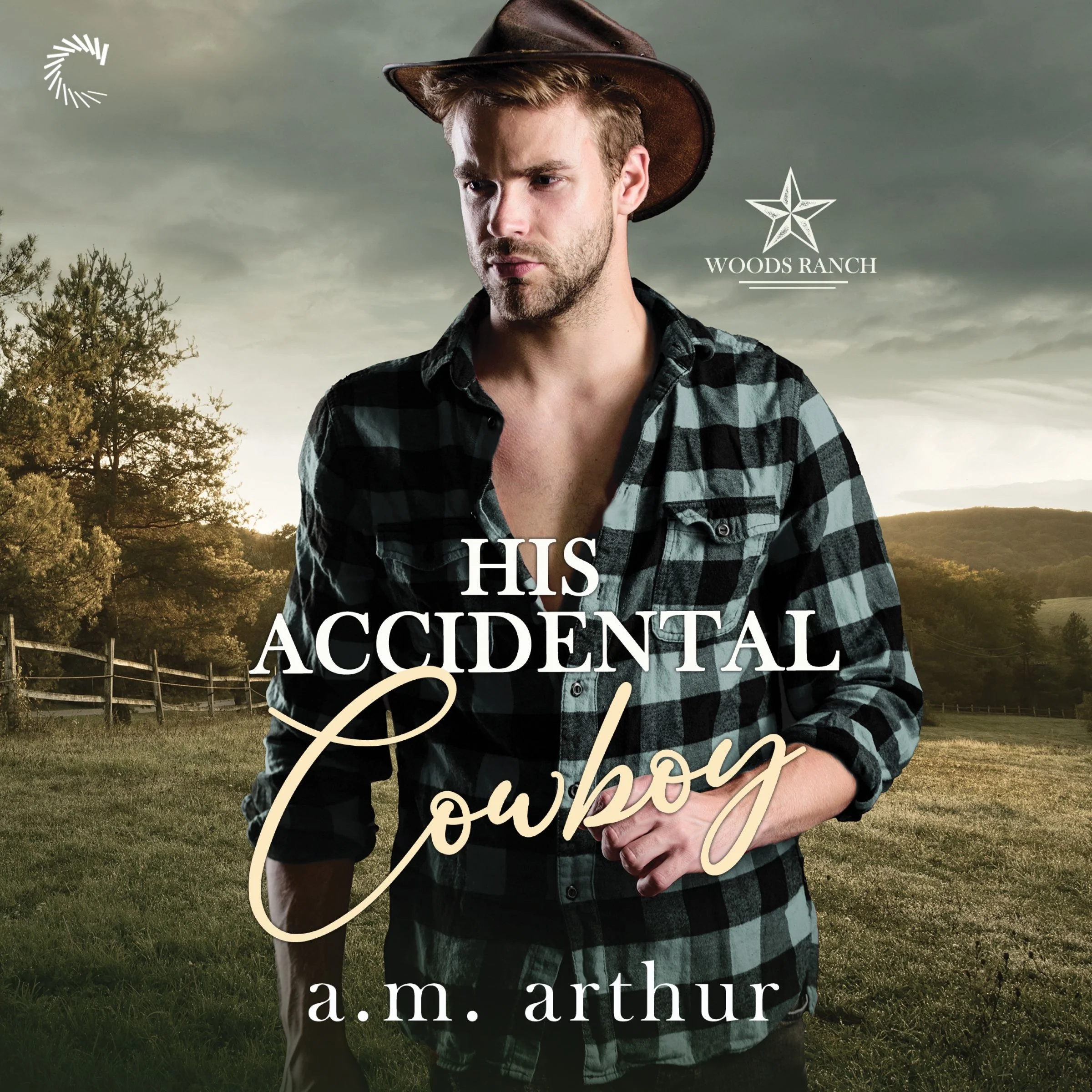 His Accidental Cowboy - Image 2