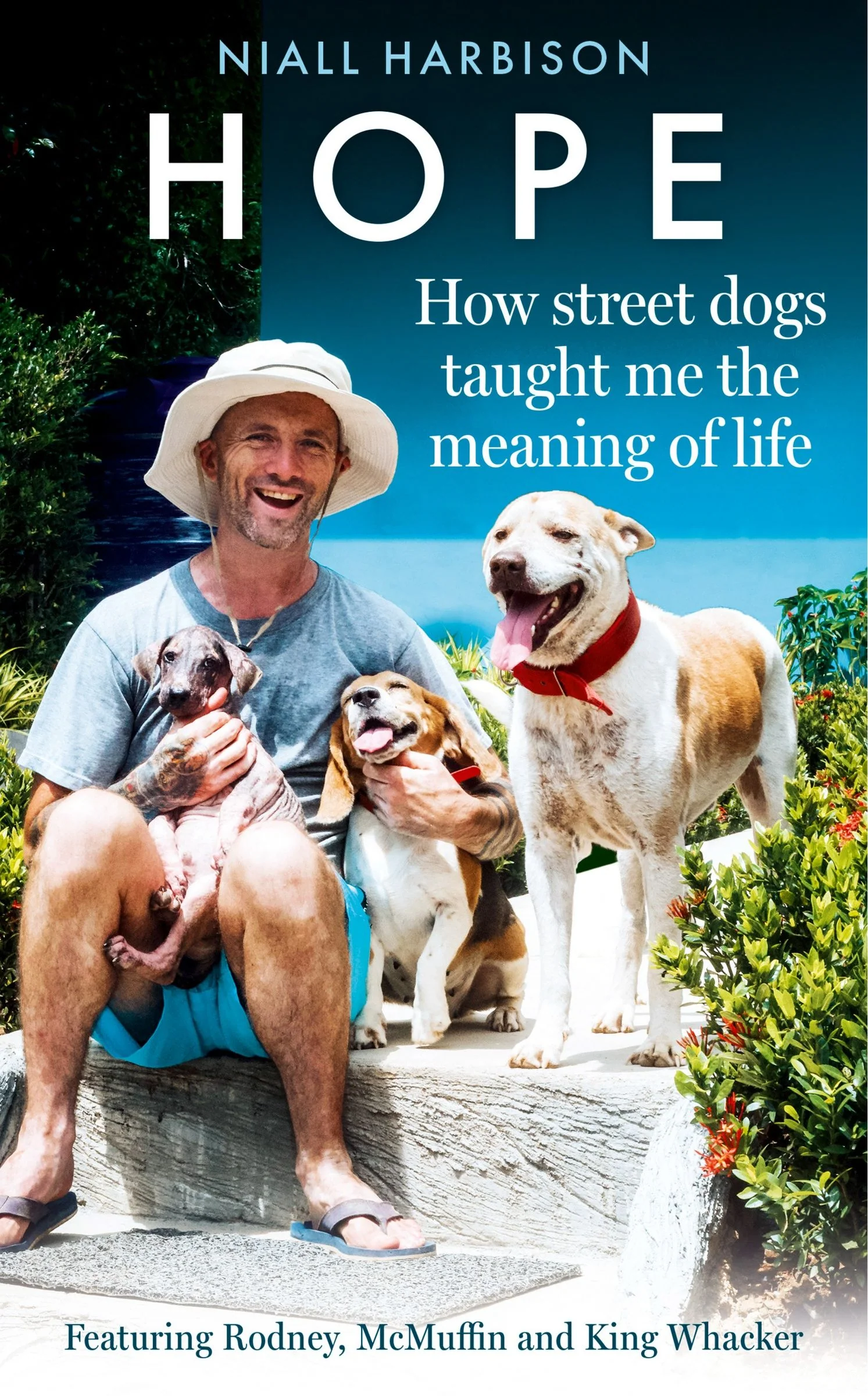 Hope – How Street Dogs Taught Me the Meaning of Life - Image 3