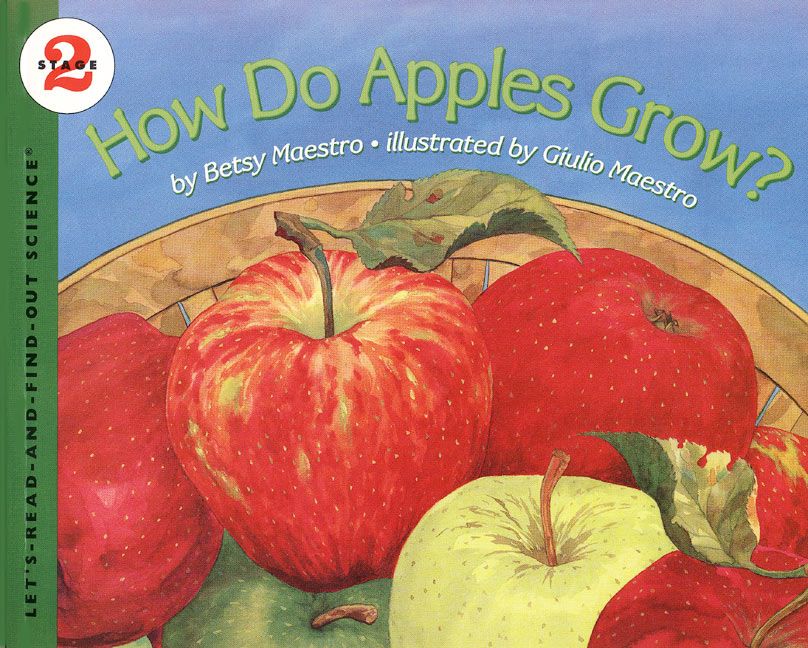 How Do Apples Grow? - Image 2