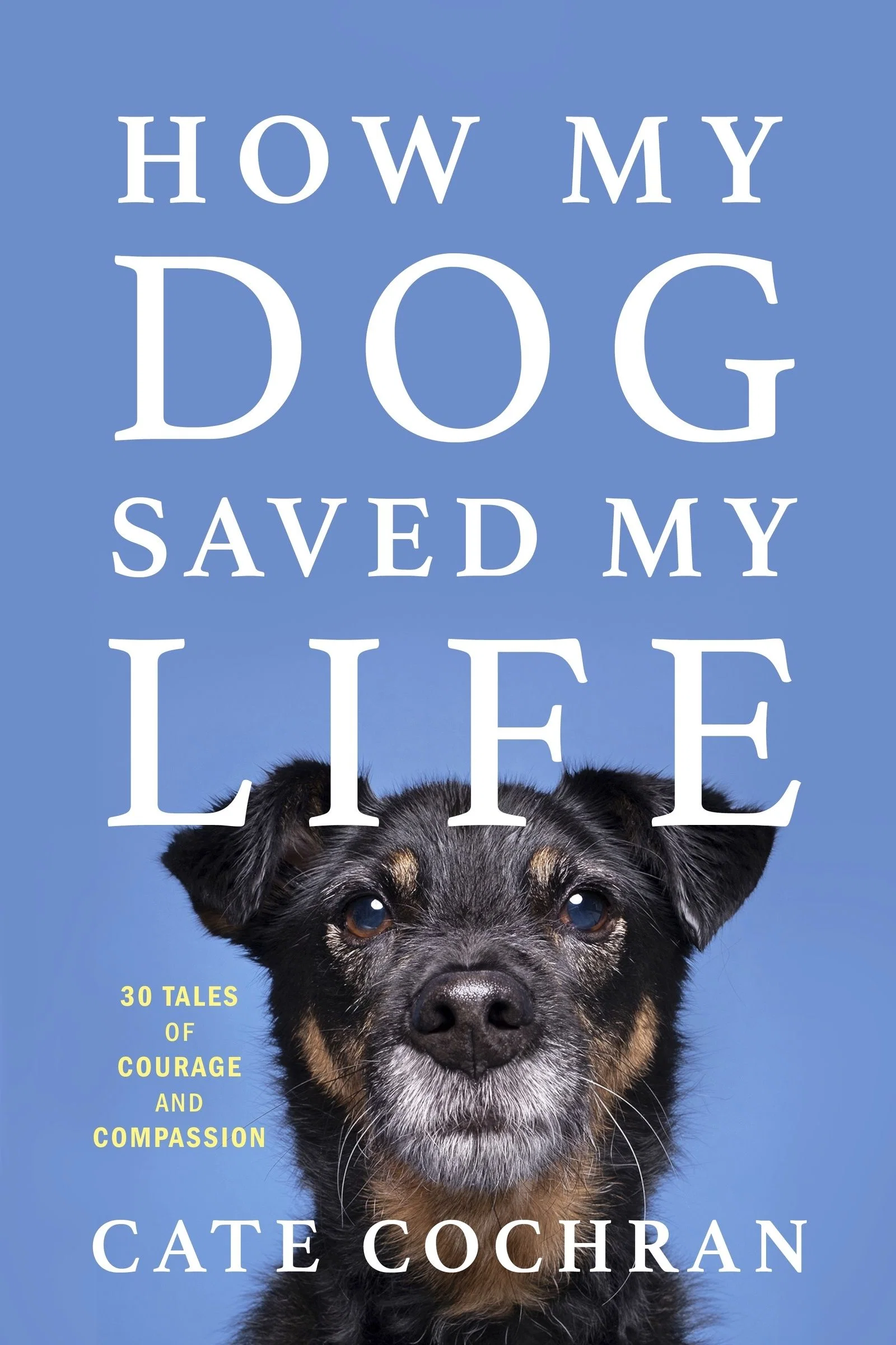 How My Dog Saved My Life - Image 3