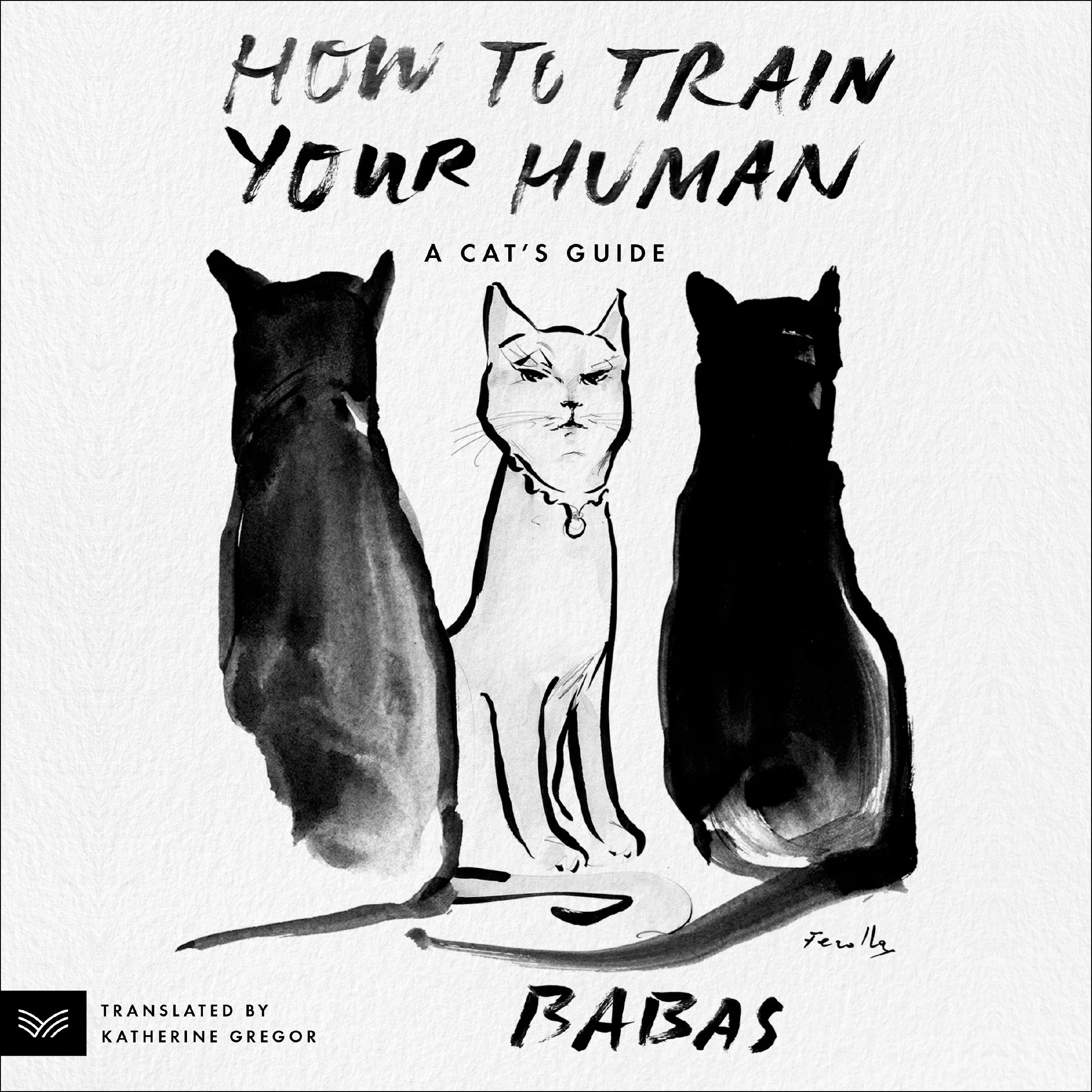 How to Train Your Human - Image 4