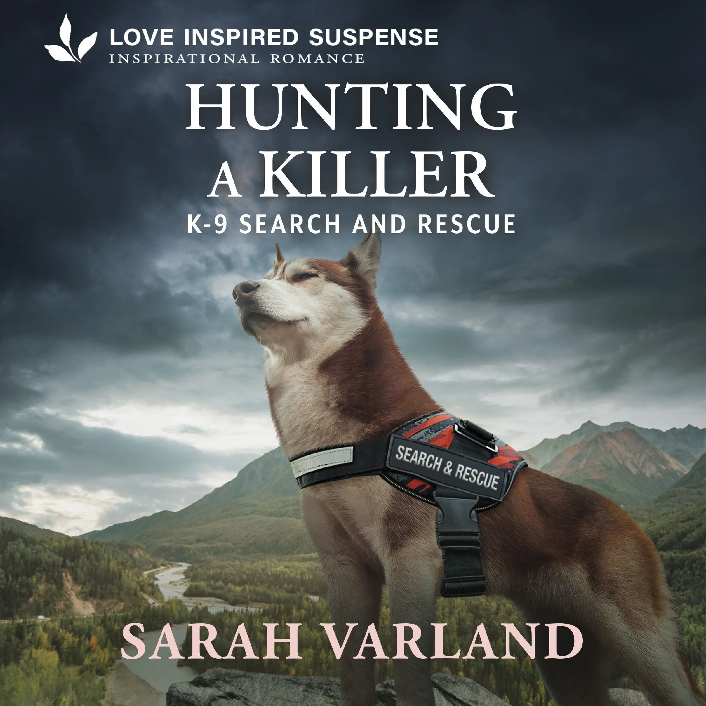 Hunting a Killer - Image 2