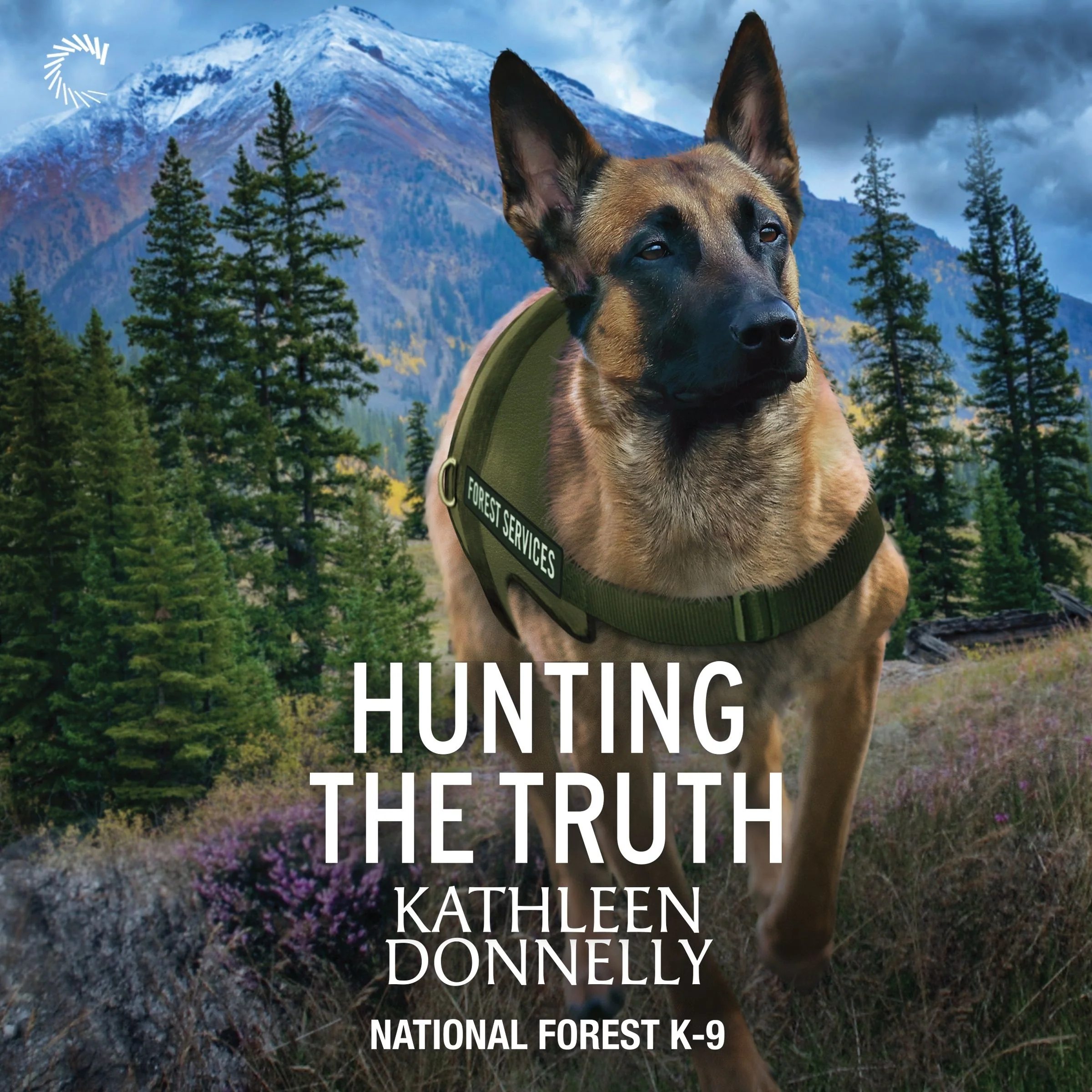 Hunting the Truth - Image 2
