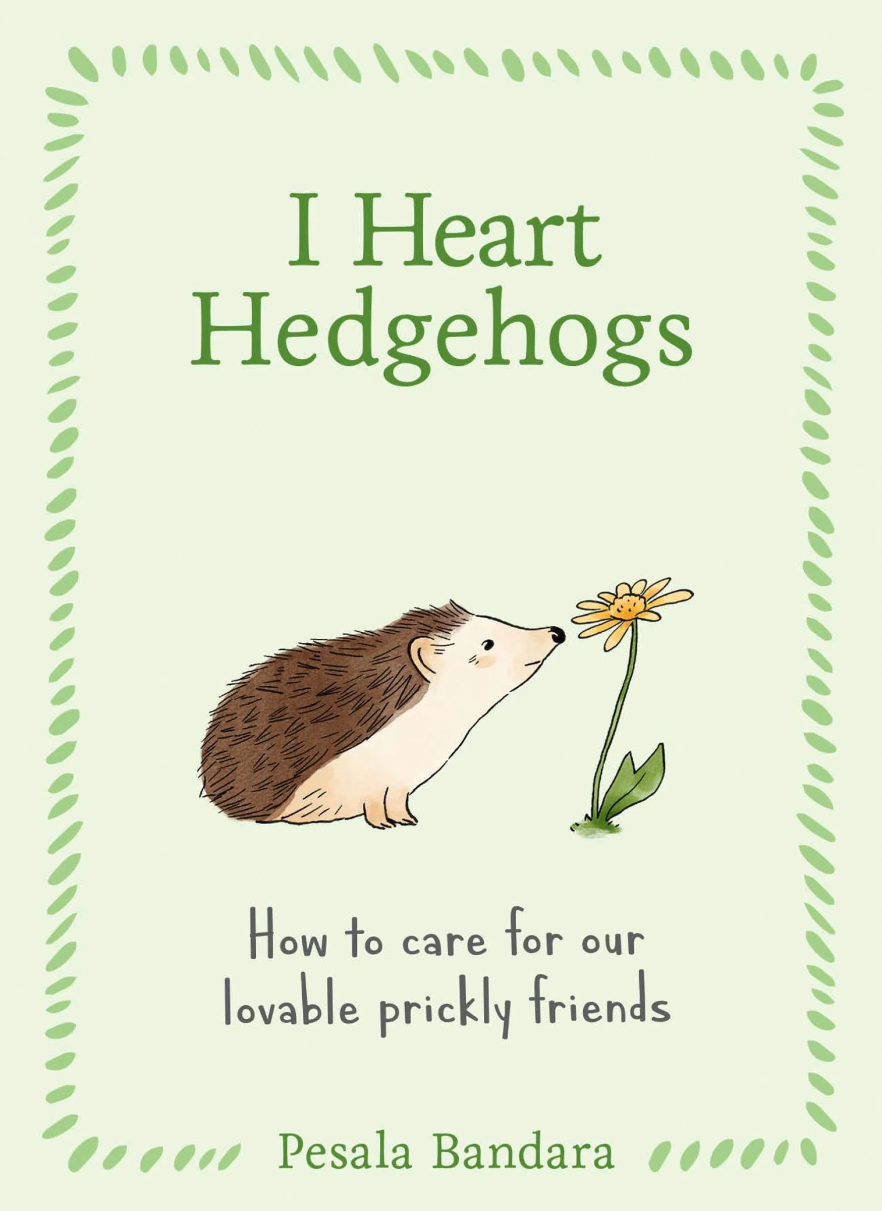 I Heart Hedgehogs: How to care for our lovable prickly friends - Image 3