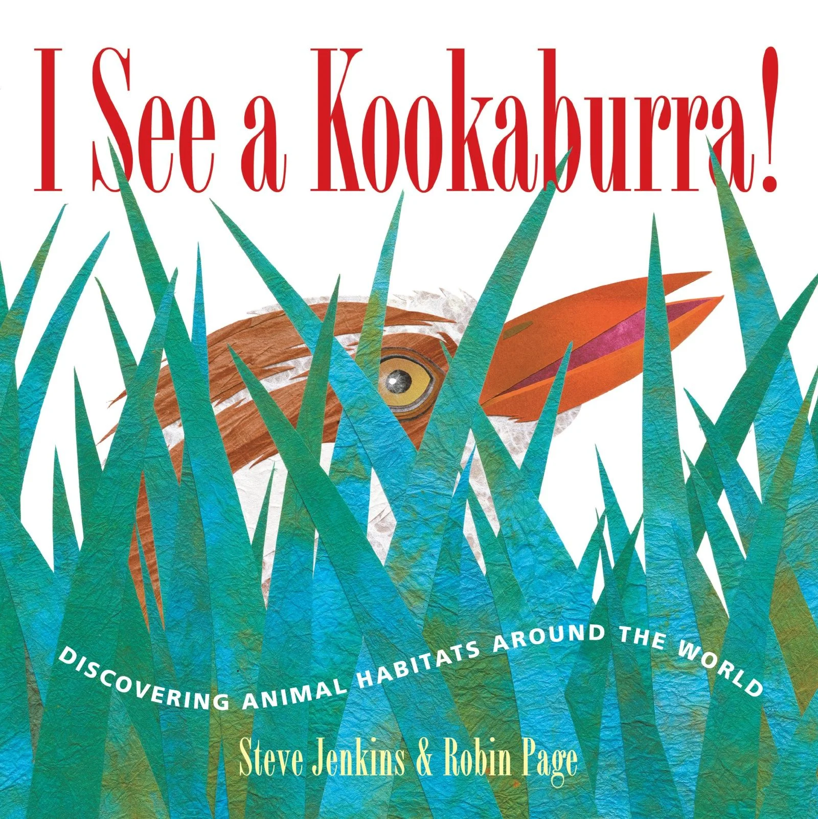 I See a Kookaburra! - Image 4
