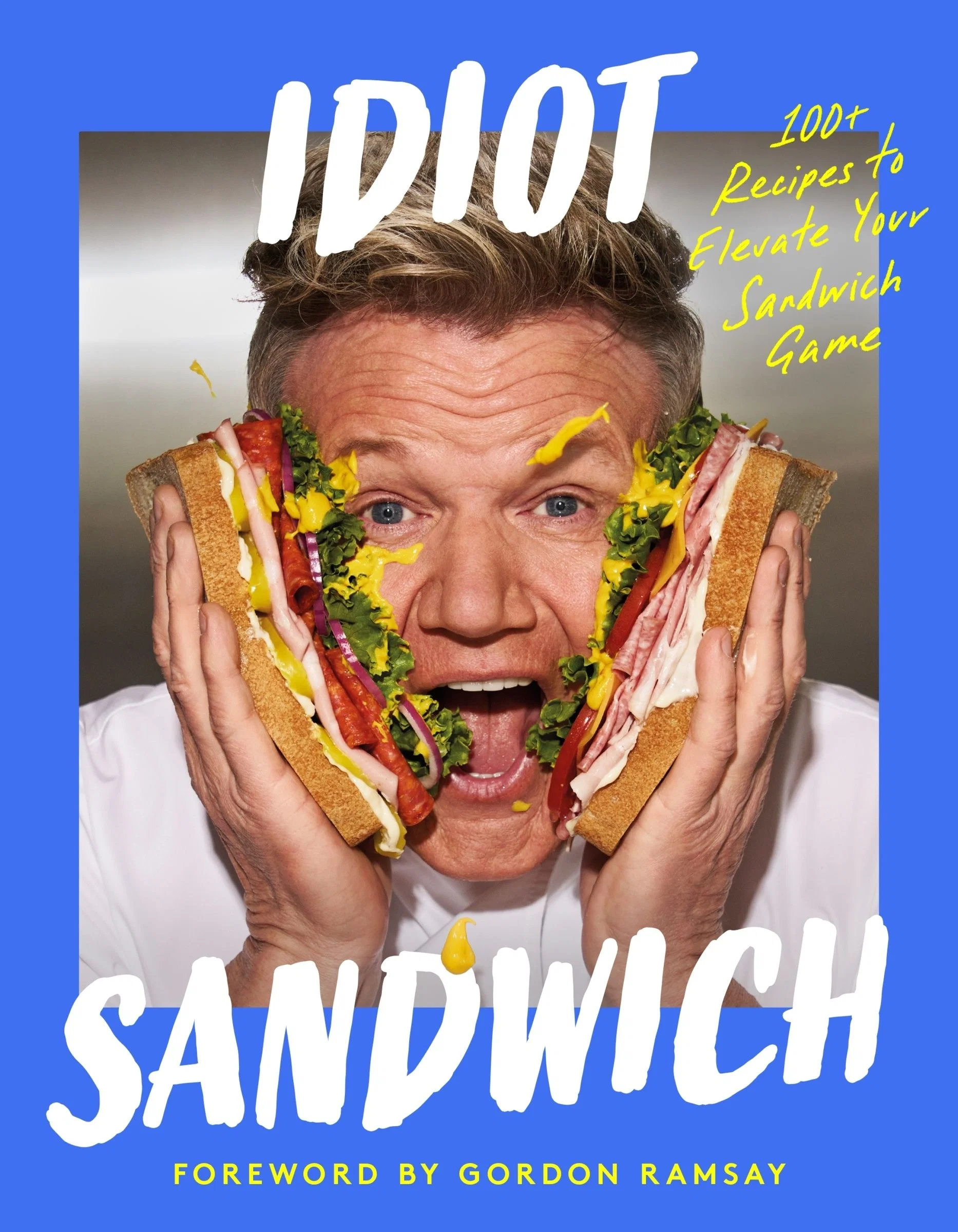 Idiot Sandwich - Image 3