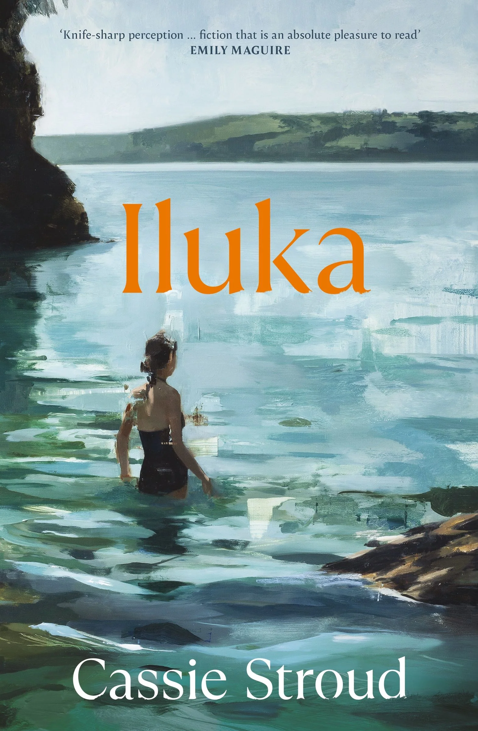 Iluka: the brilliant 2026 debut for readers of Emily Maguire, Charlotte Wood and Anne Tyler - Image 3